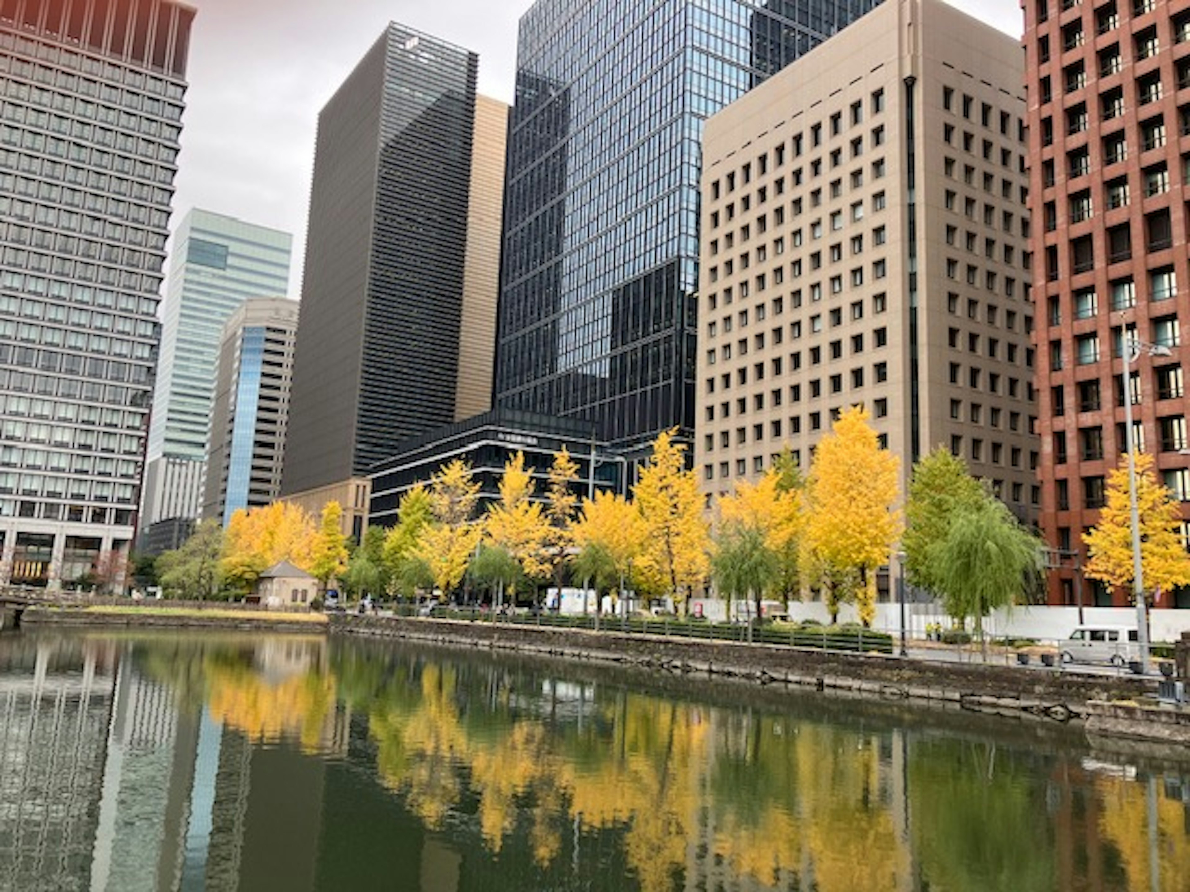 Paisaje urbano con rascacielos y árboles amarillos reflejándose en el agua