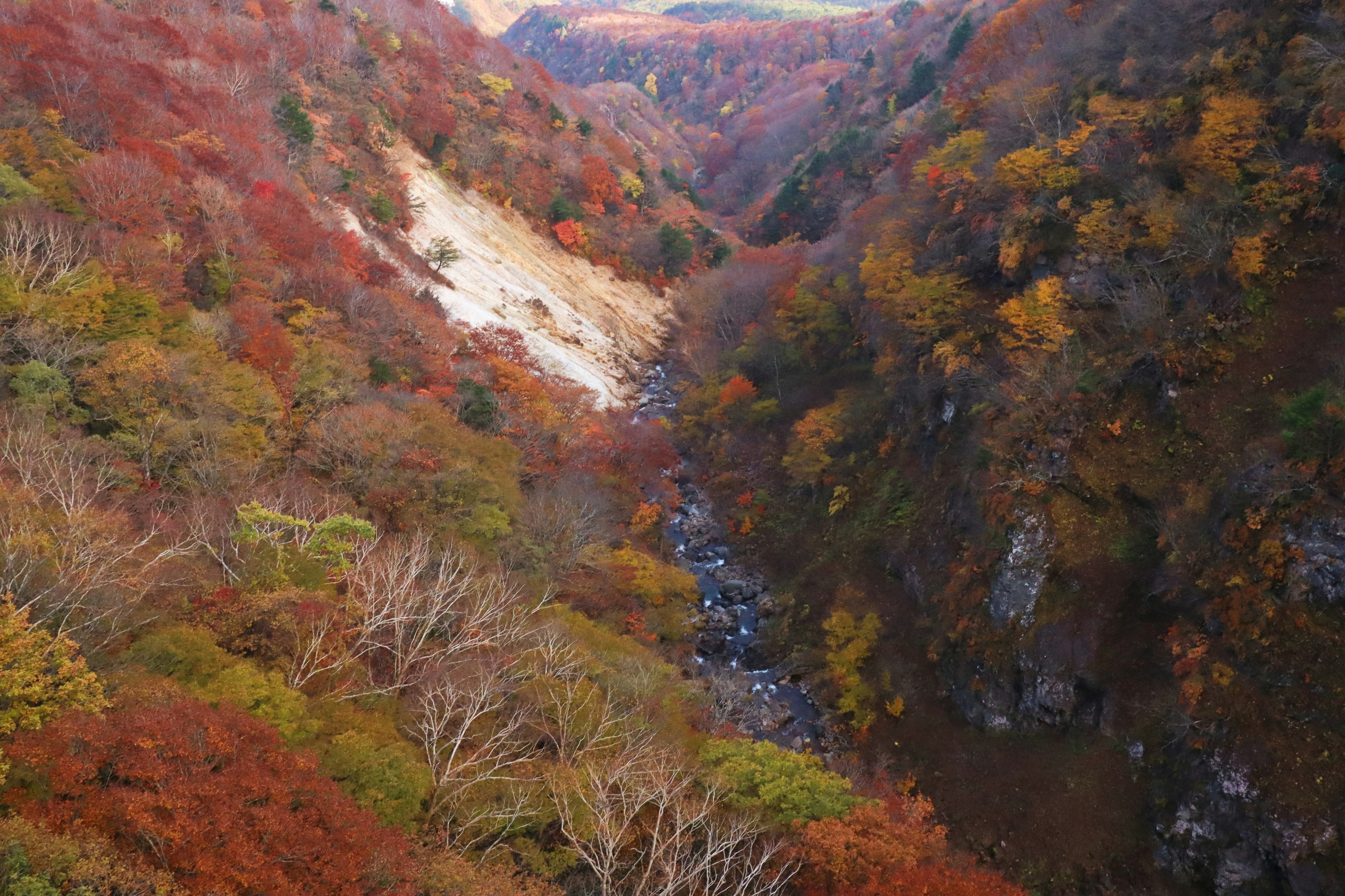 Hermoso valle de otoño con follaje colorido