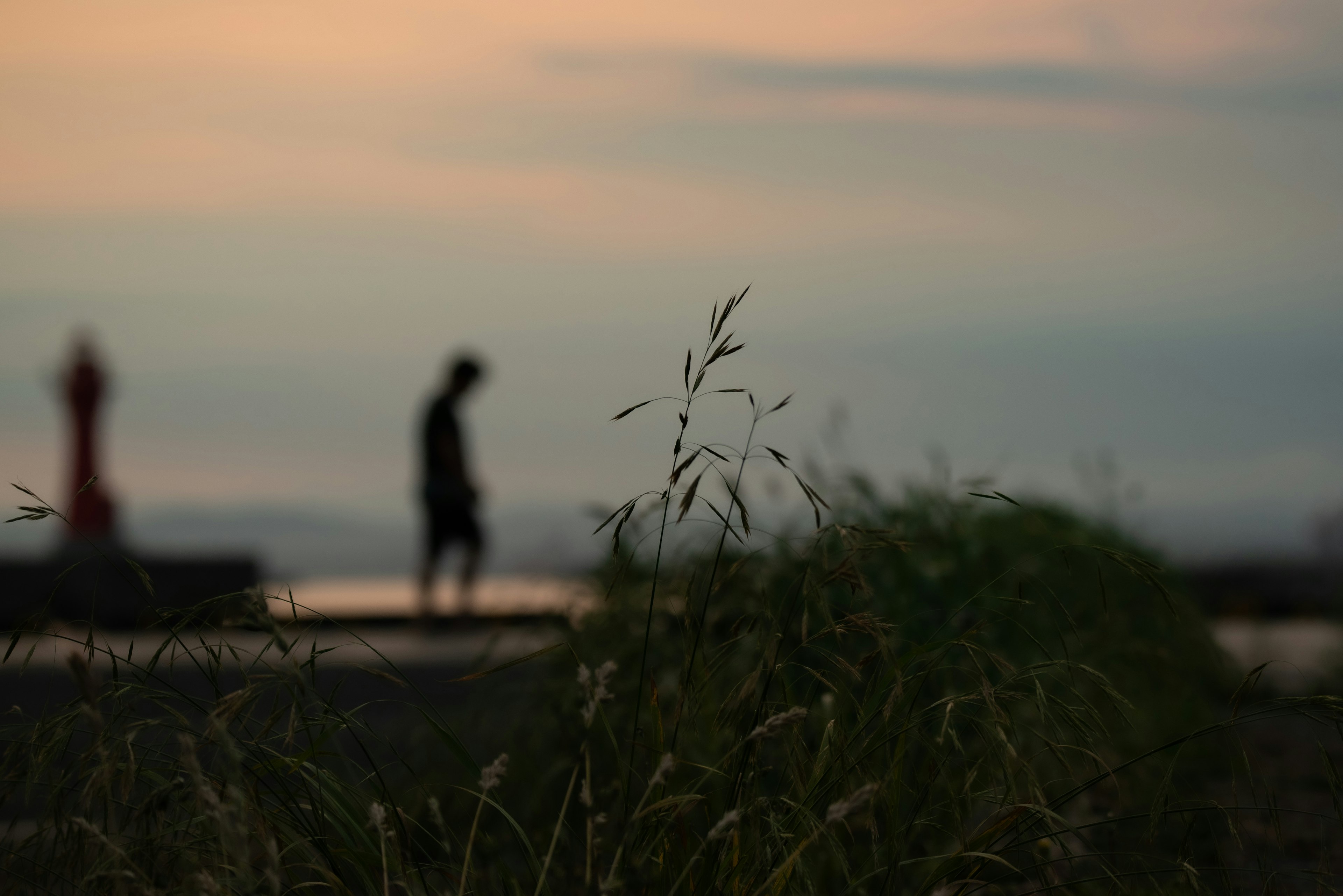 夕暮れ時の海辺を歩くシルエットの人物と前景の草