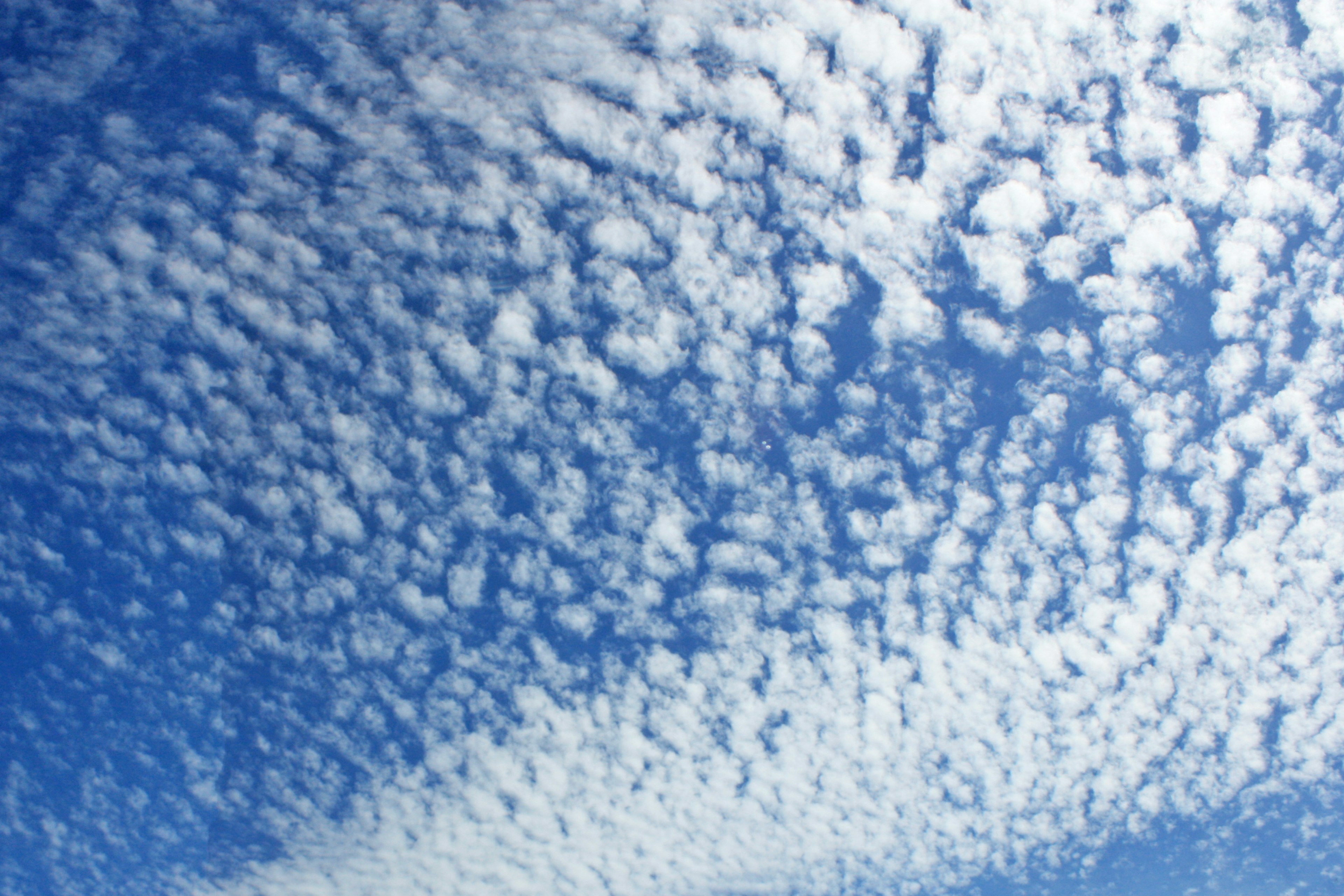 Hermosa vista del cielo azul con nubes blancas