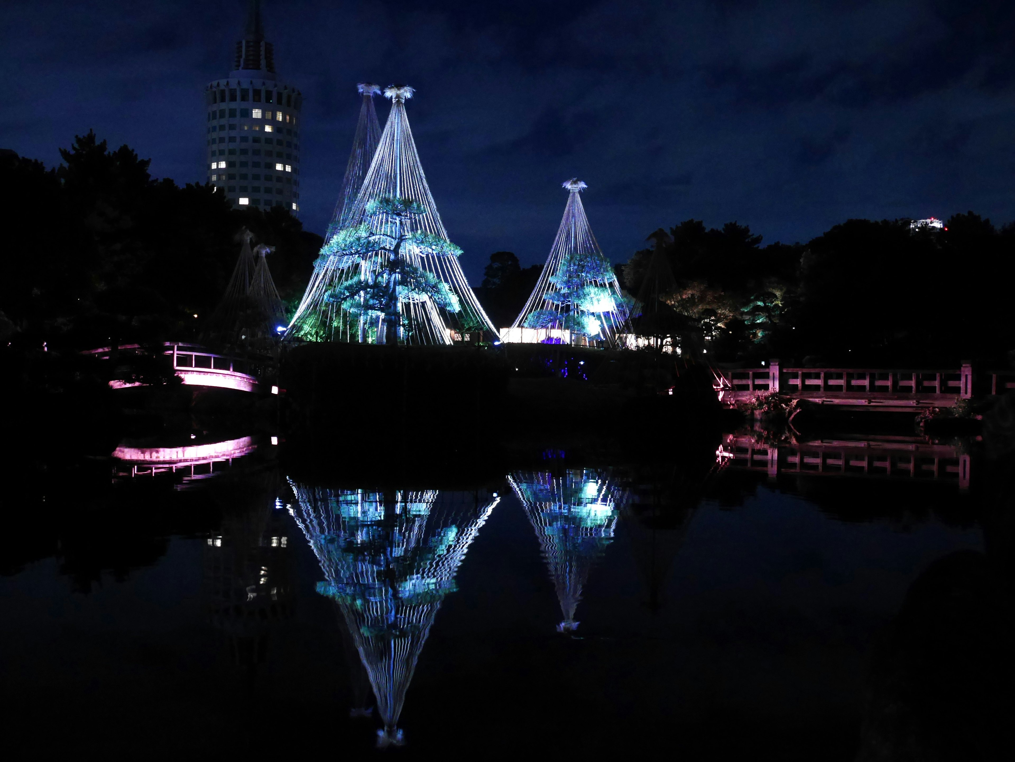 Beautifully illuminated tents in a park at night with their reflections