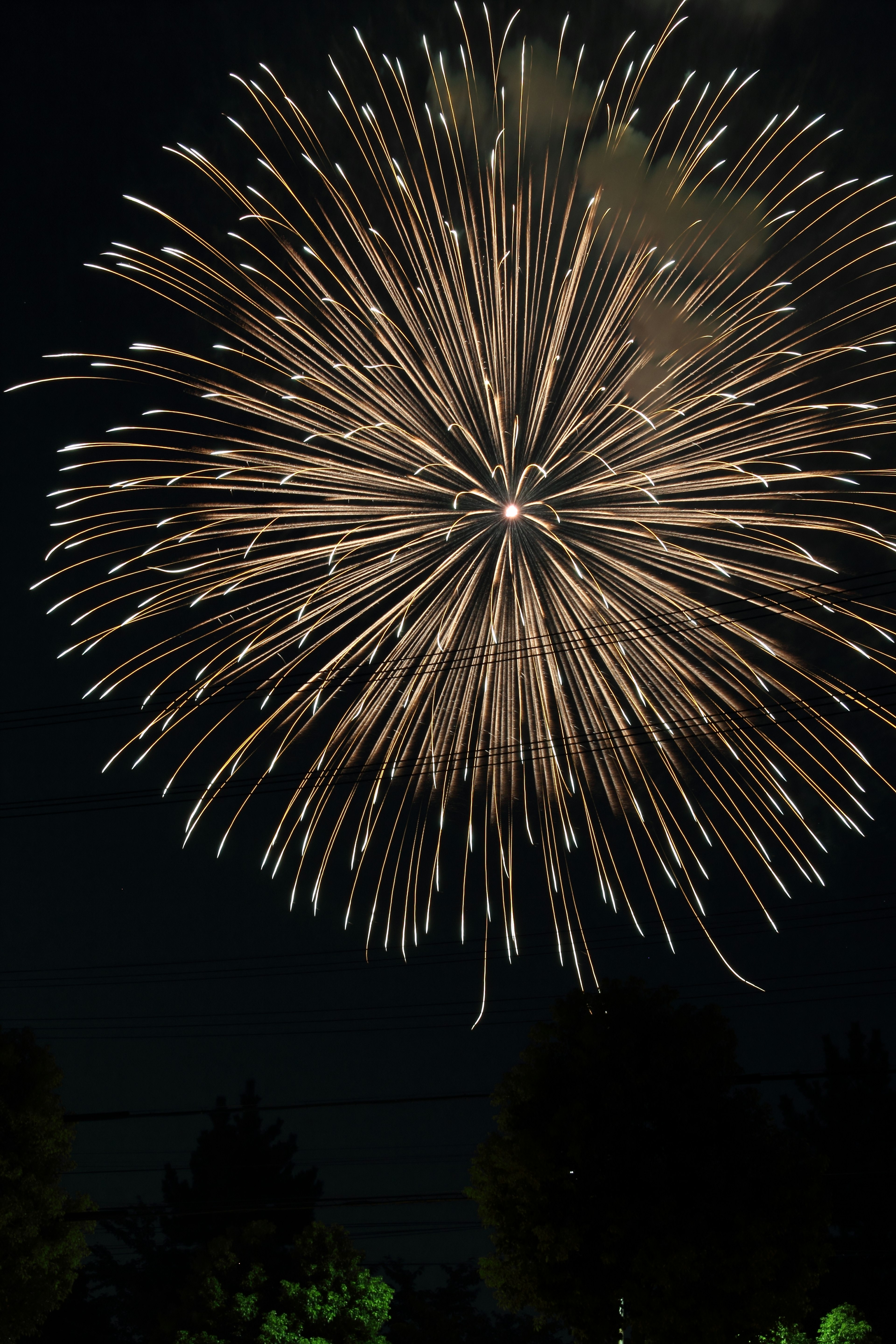 Large golden firework bursting in the night sky