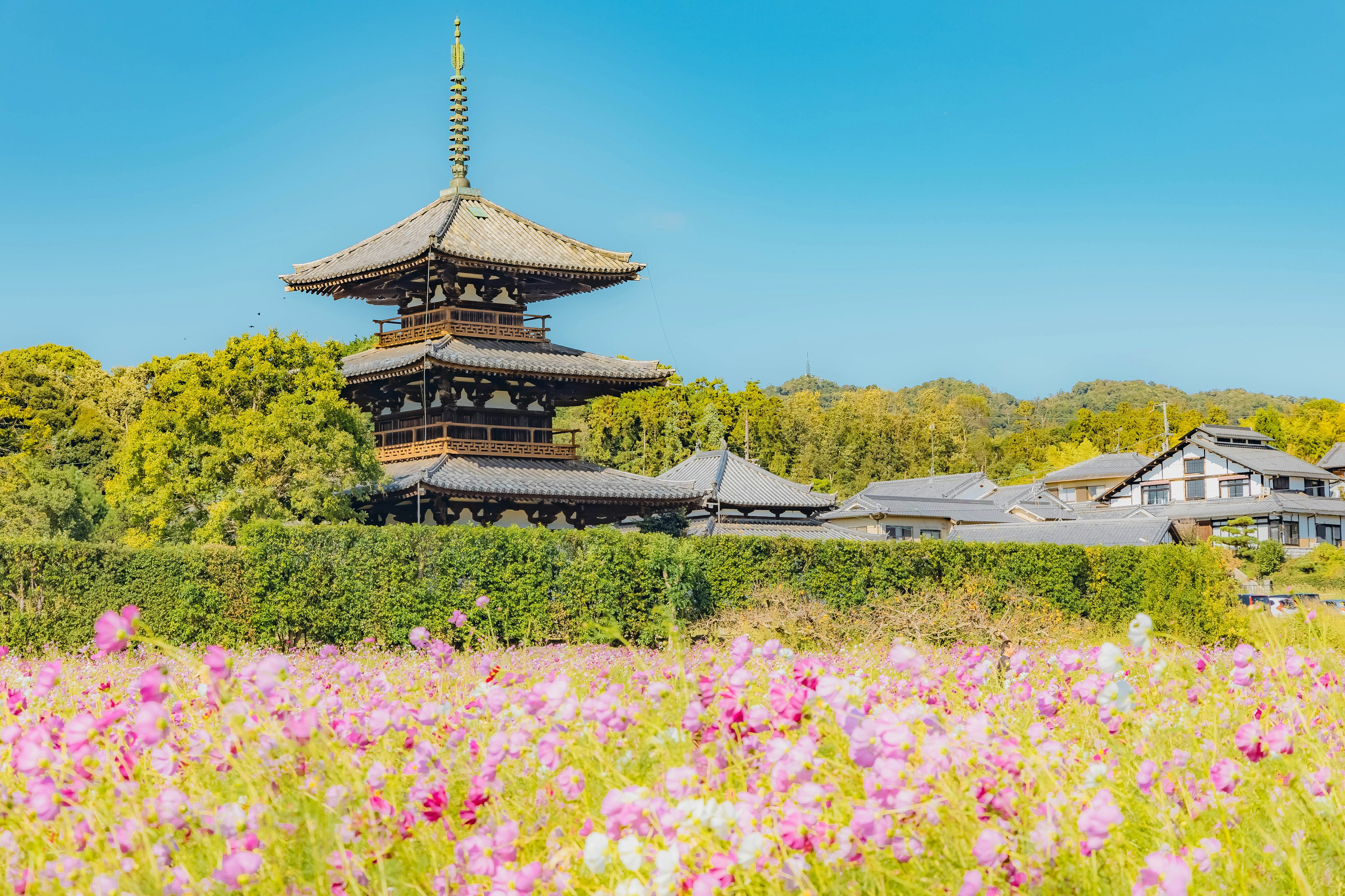 Pagoda Jepang tradisional dikelilingi ladang bunga yang cerah