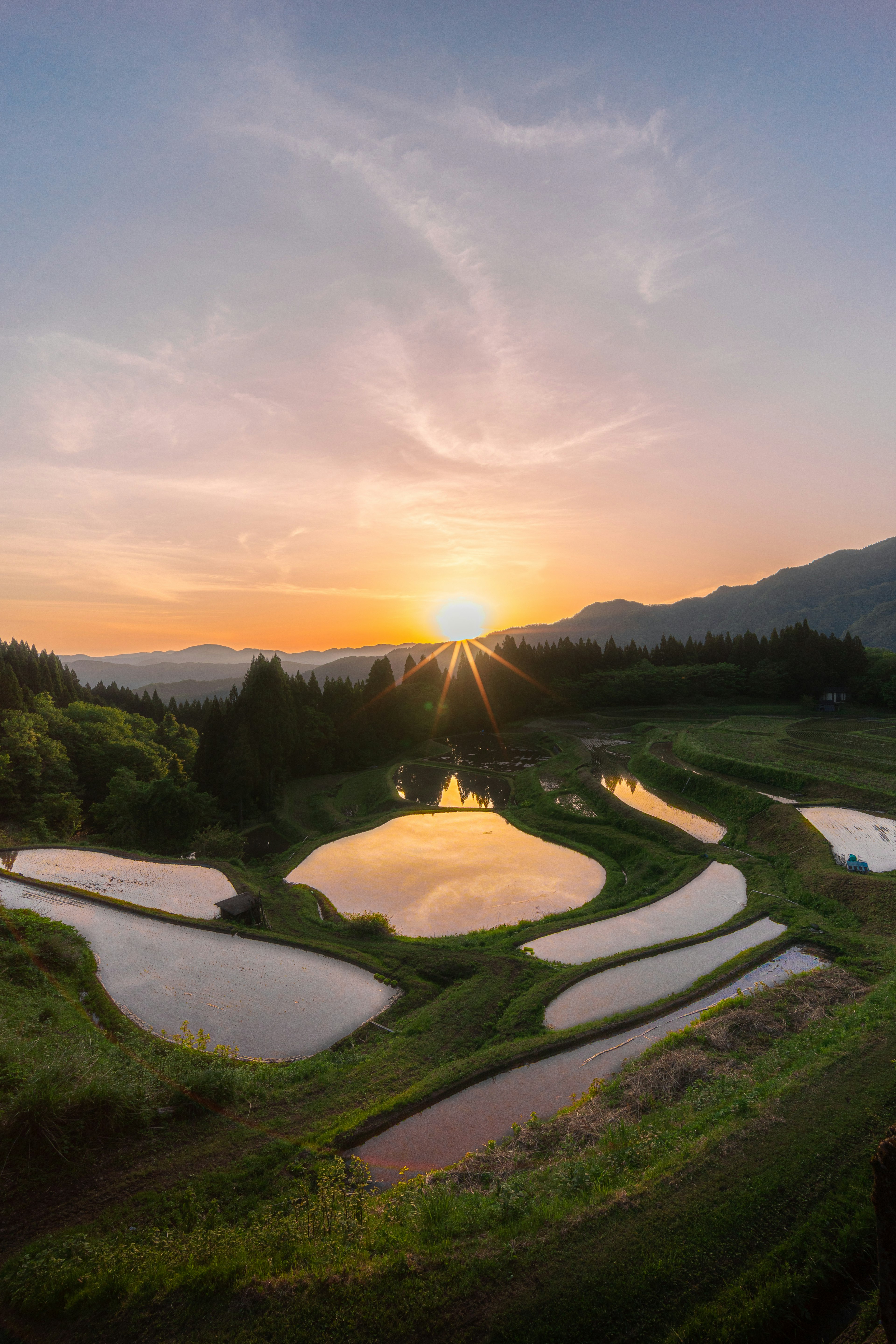 美しい棚田の風景と夕日が照らす山々のシルエット