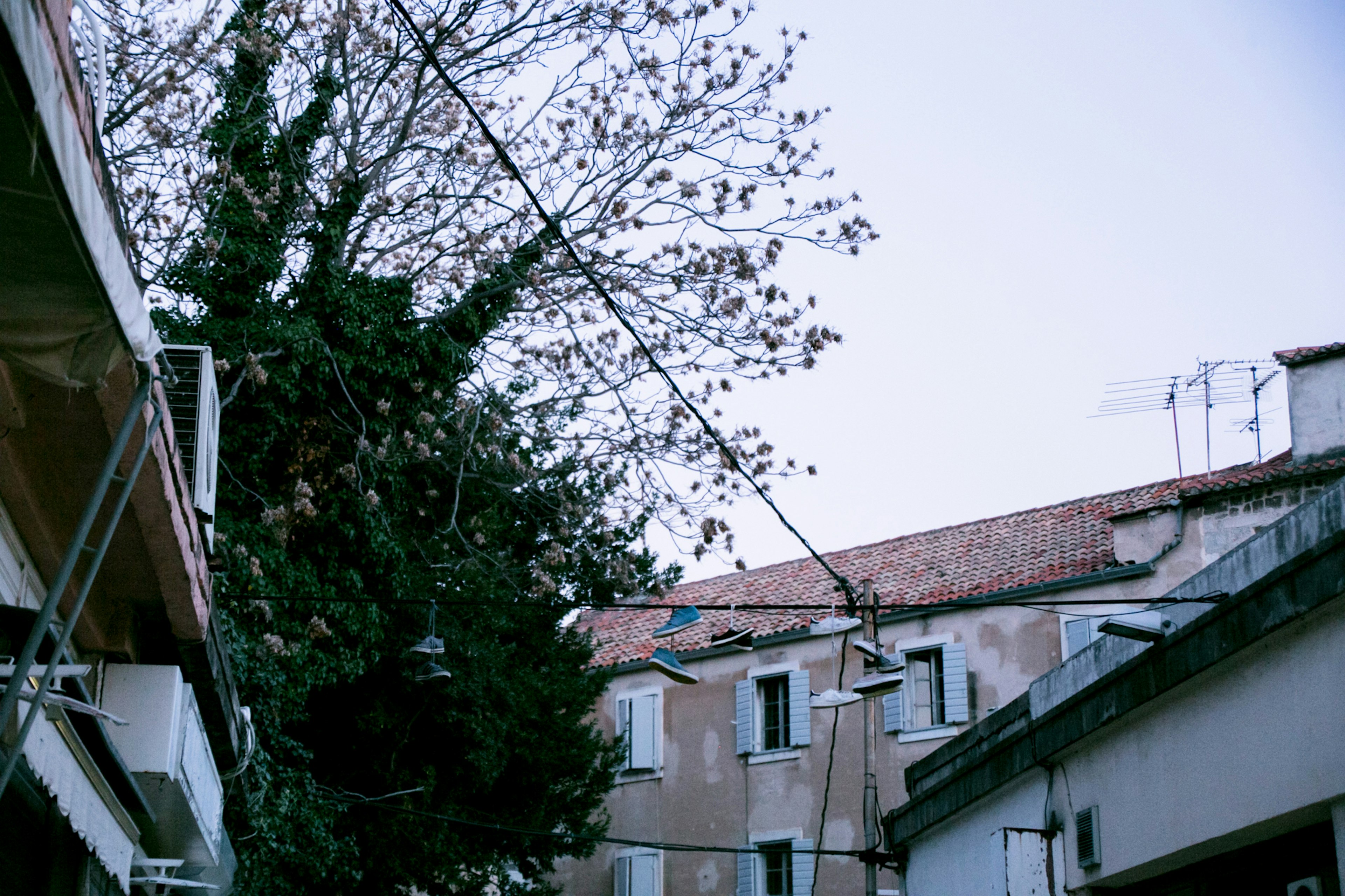 Quiet street scene with old buildings and trees