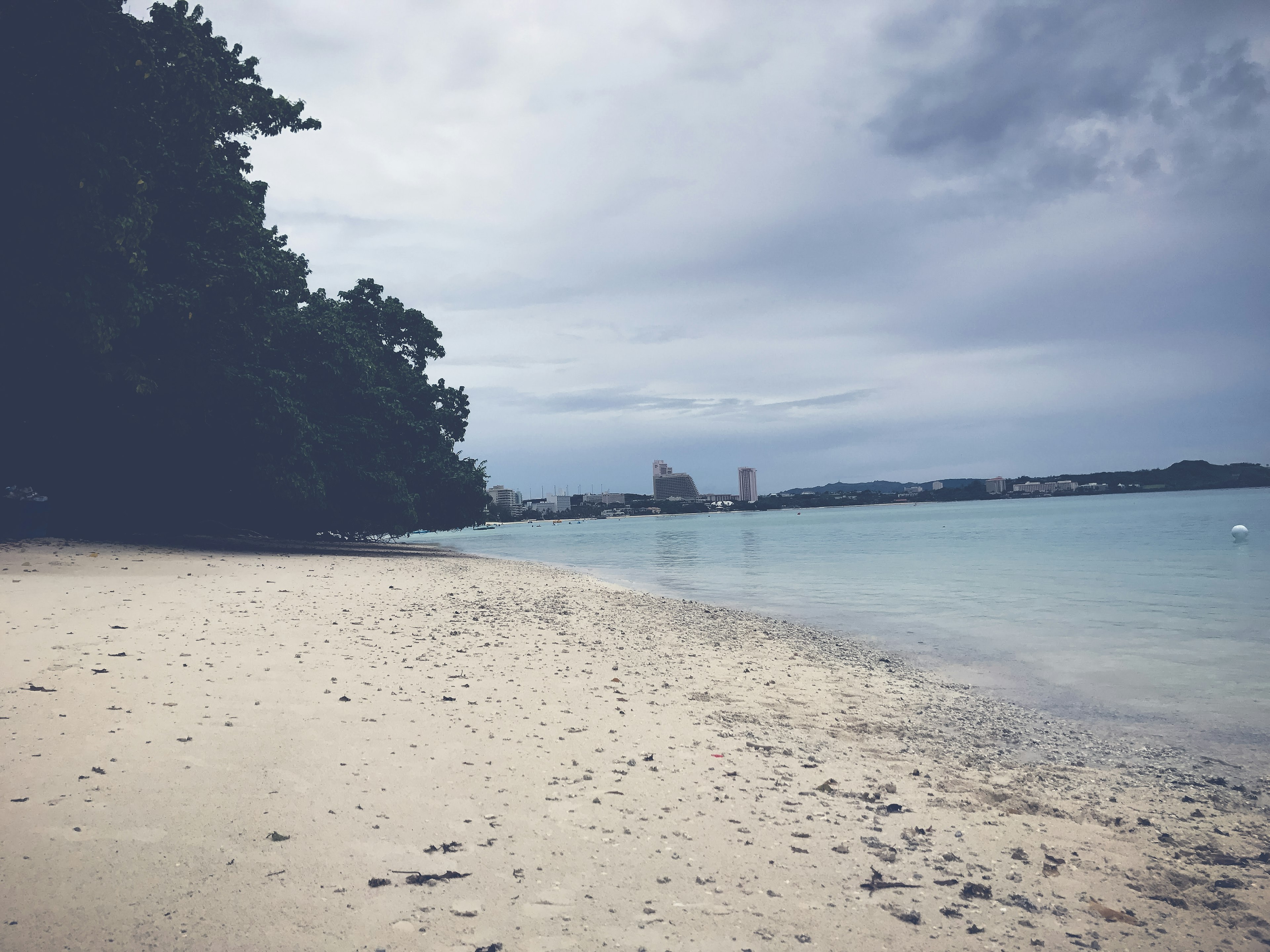 Serene beach scene with calm water and overcast sky