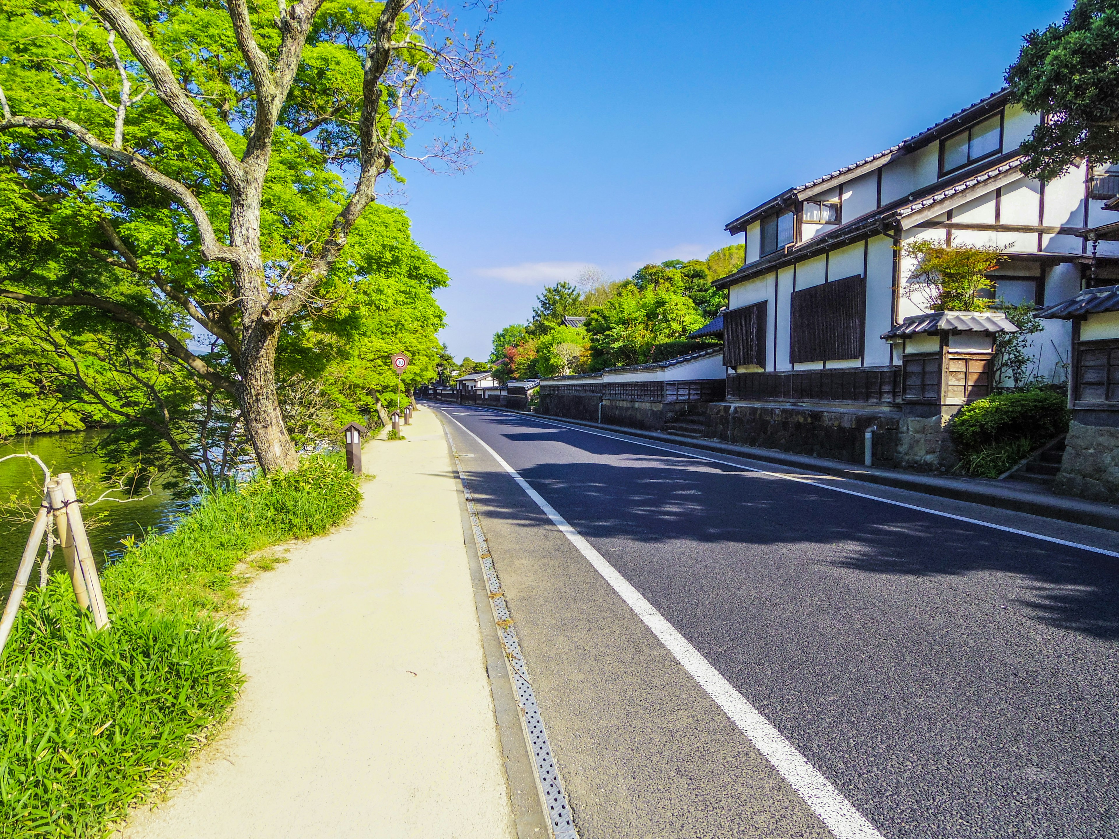 Eine ruhige Straße gesäumt von grünen Bäumen und traditionellen japanischen Häusern unter einem klaren blauen Himmel