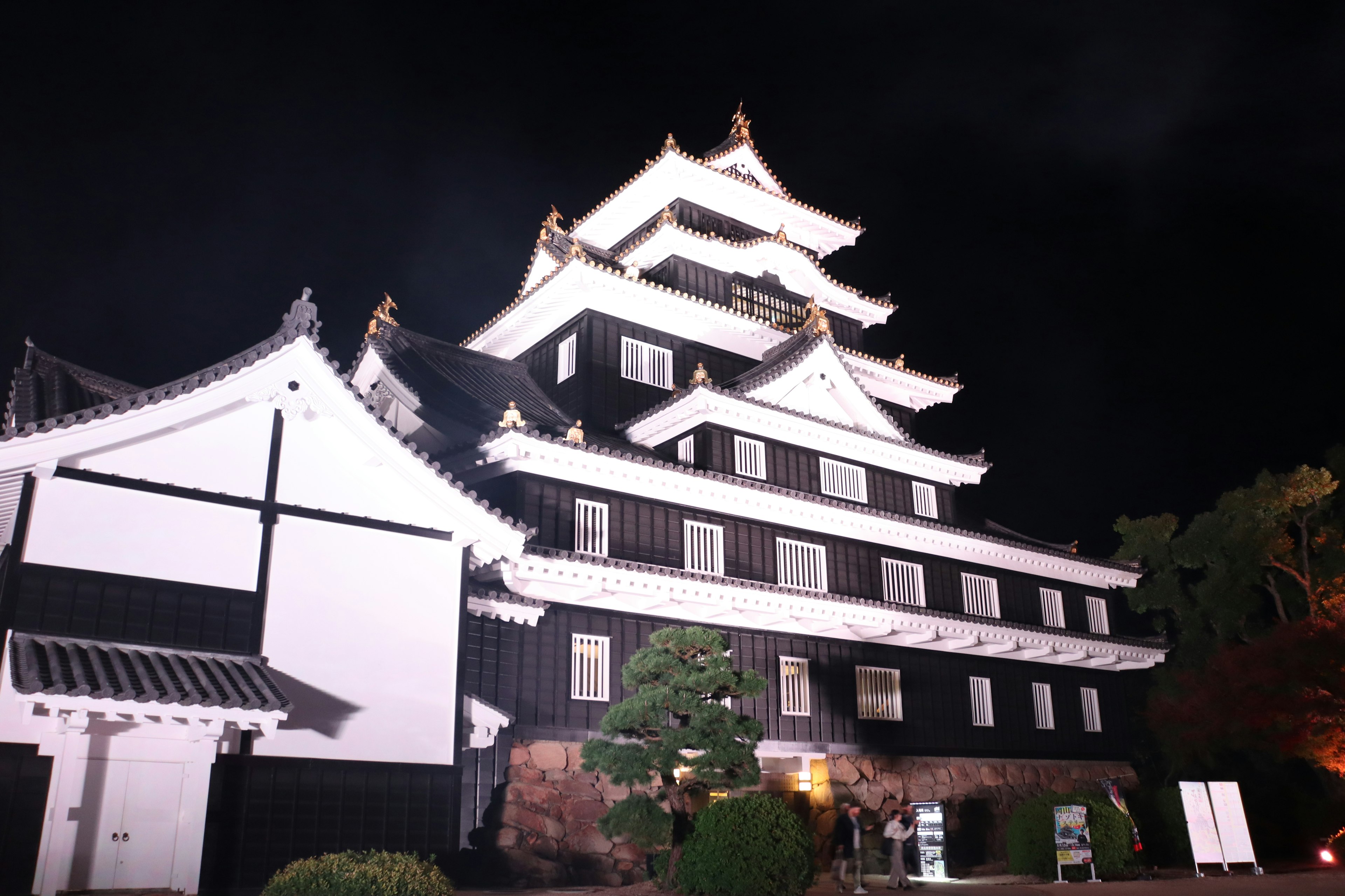 Exterior del castillo negro iluminado por la noche