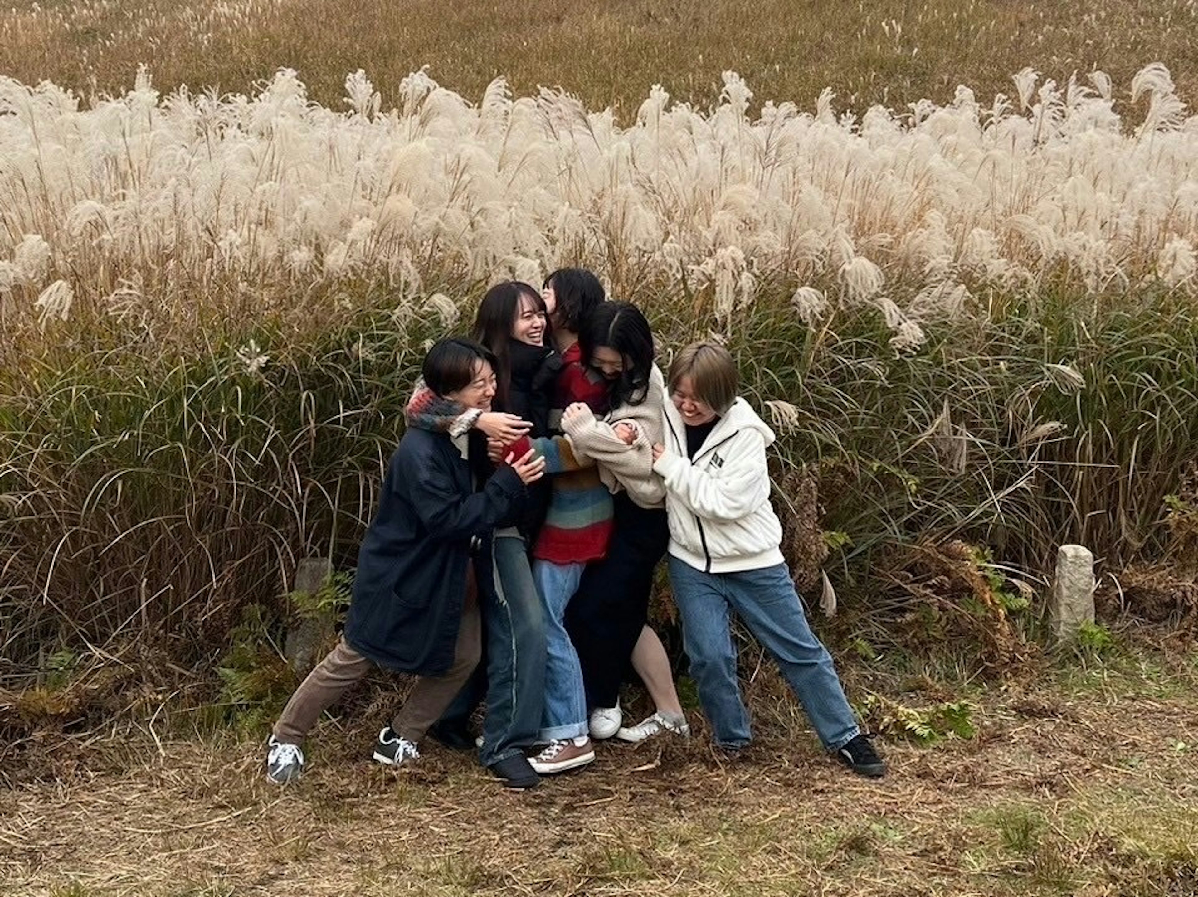 Five friends hugging together in a grassy field