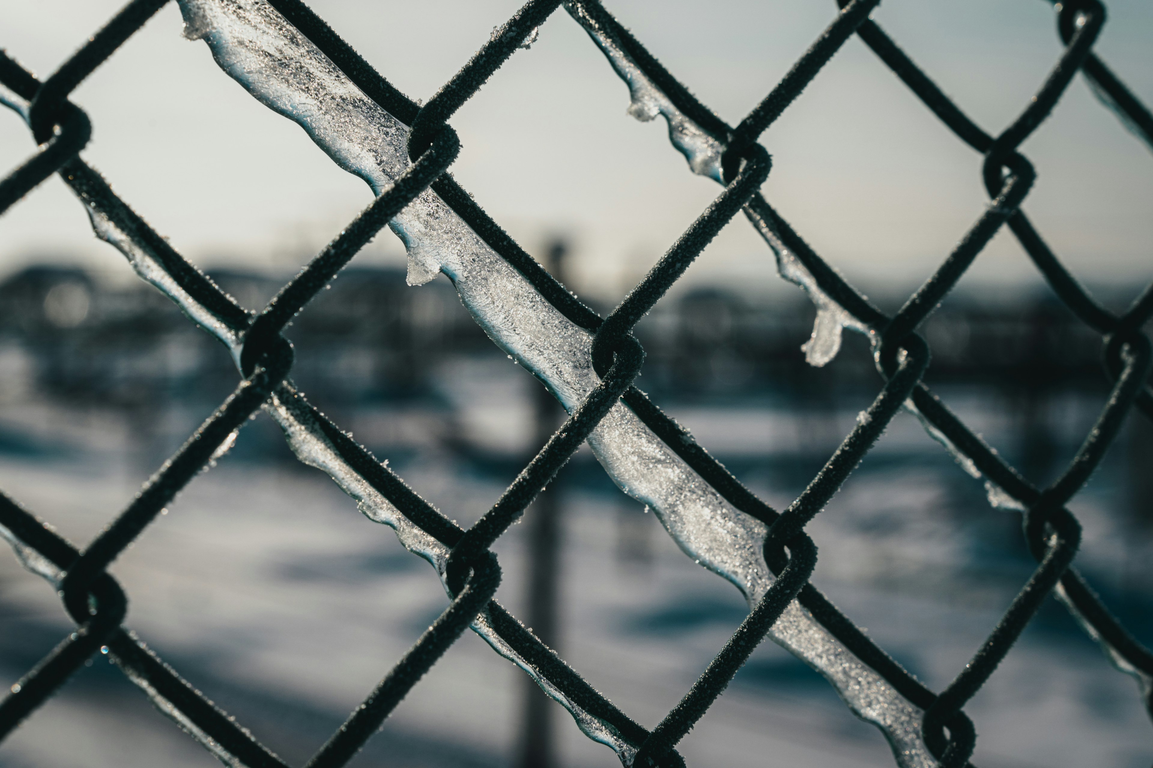 Ice clinging to a chain-link fence with a snowy background