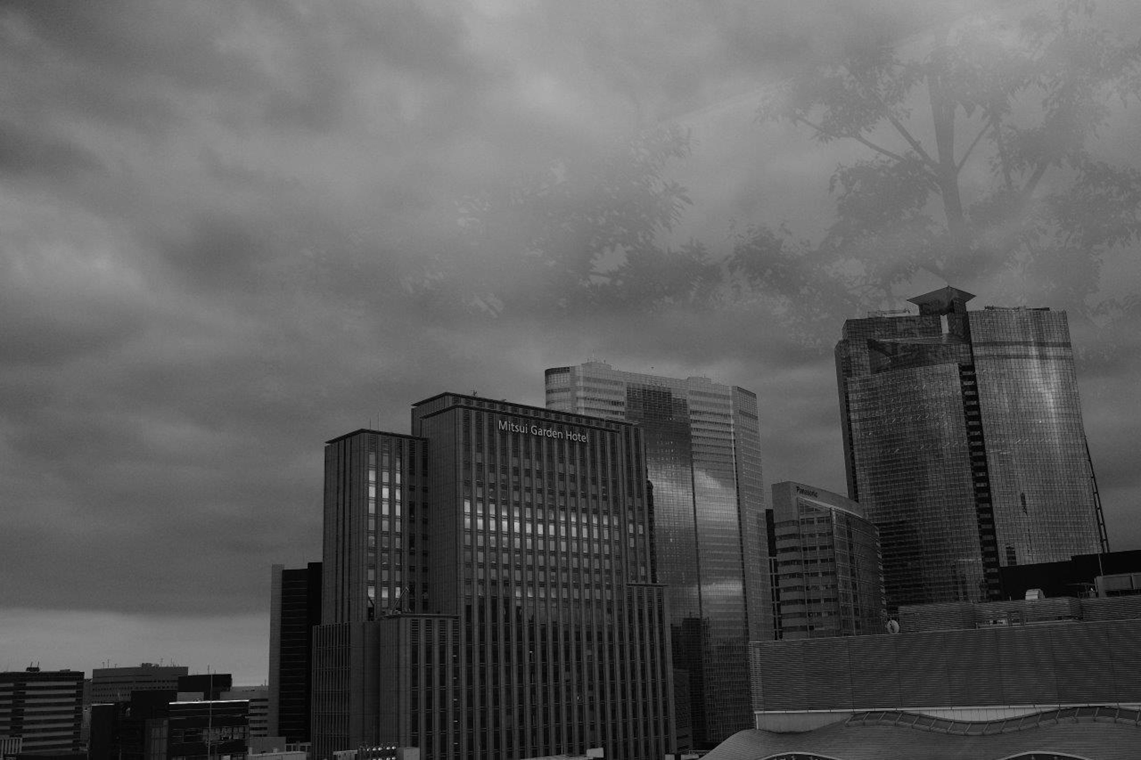 Paisaje urbano en blanco y negro con edificios altos y cielo nublado