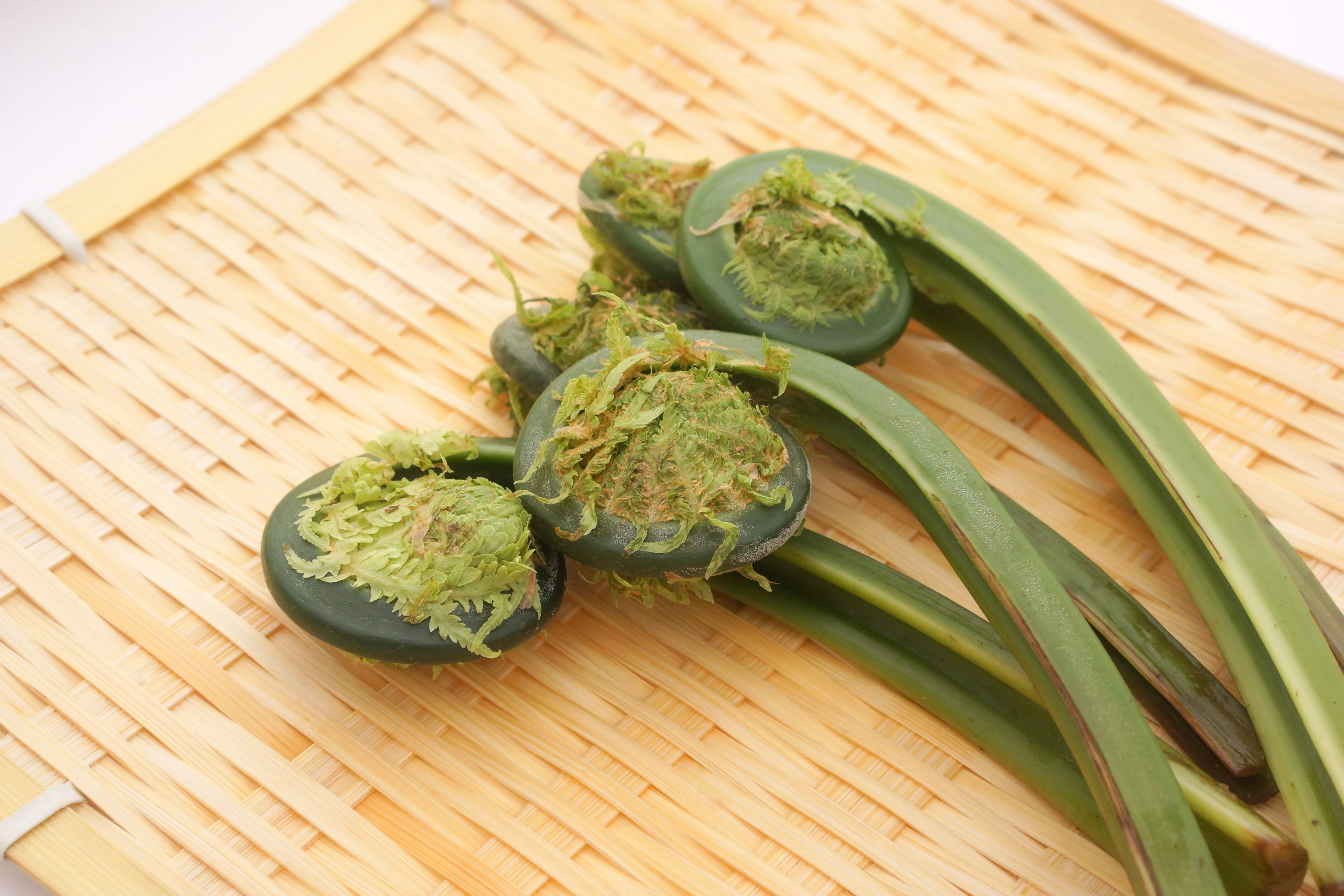 Image of fiddlehead ferns arranged on a bamboo mat