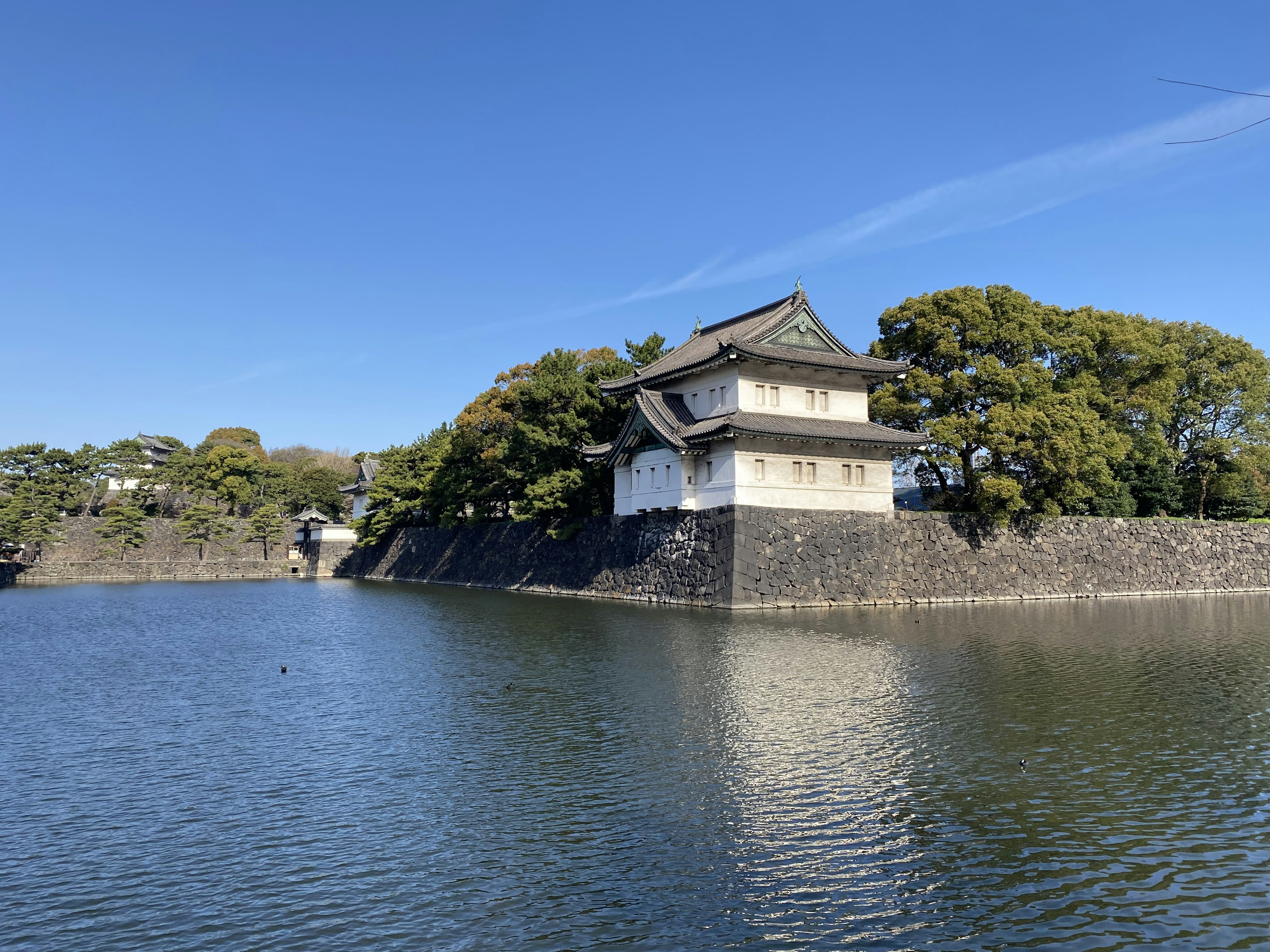 宁静水边的传统日本城堡与晴朗的蓝天