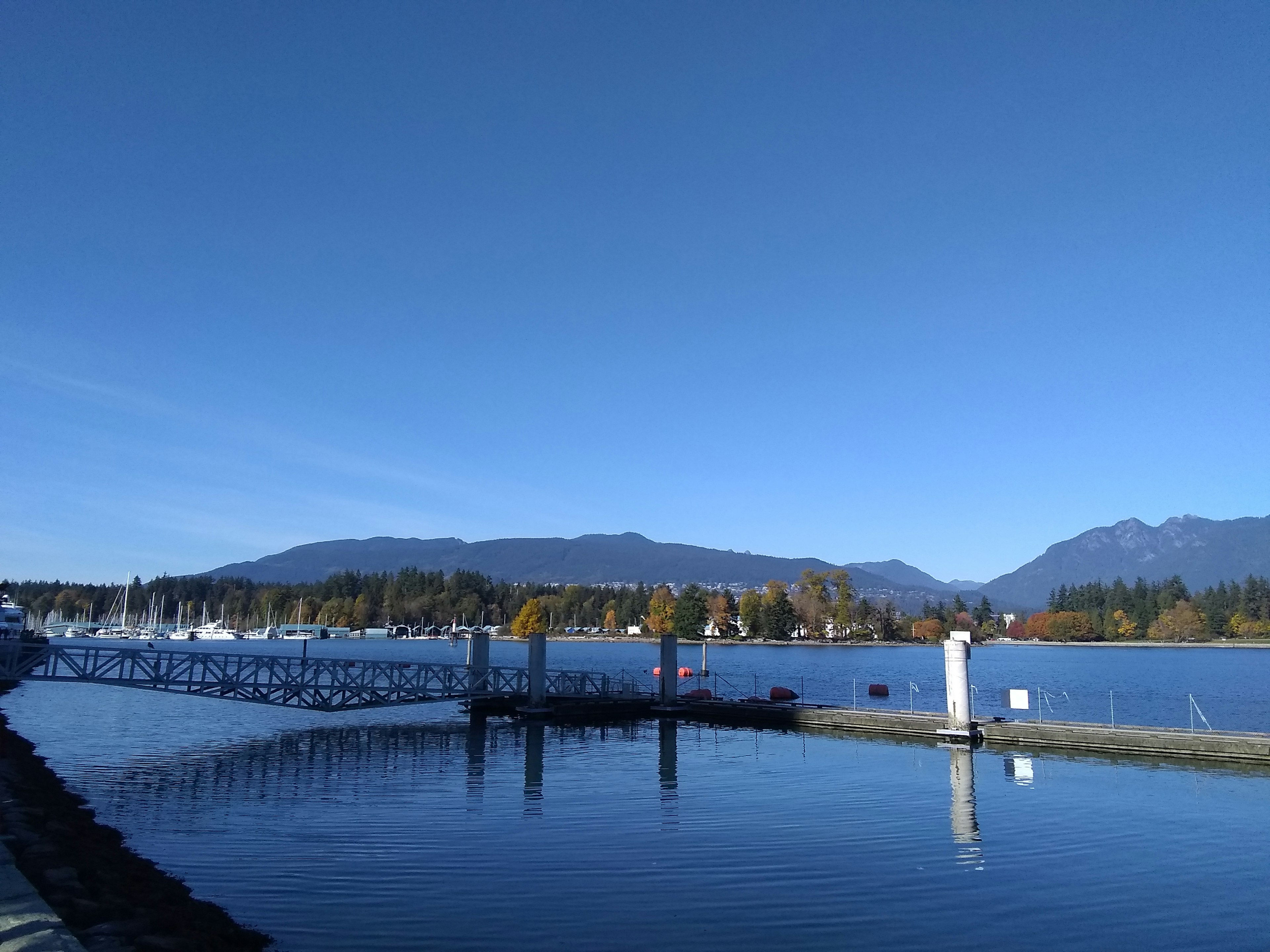 Vue pittoresque d'un lac paisible avec ciel bleu et un quai à bateaux