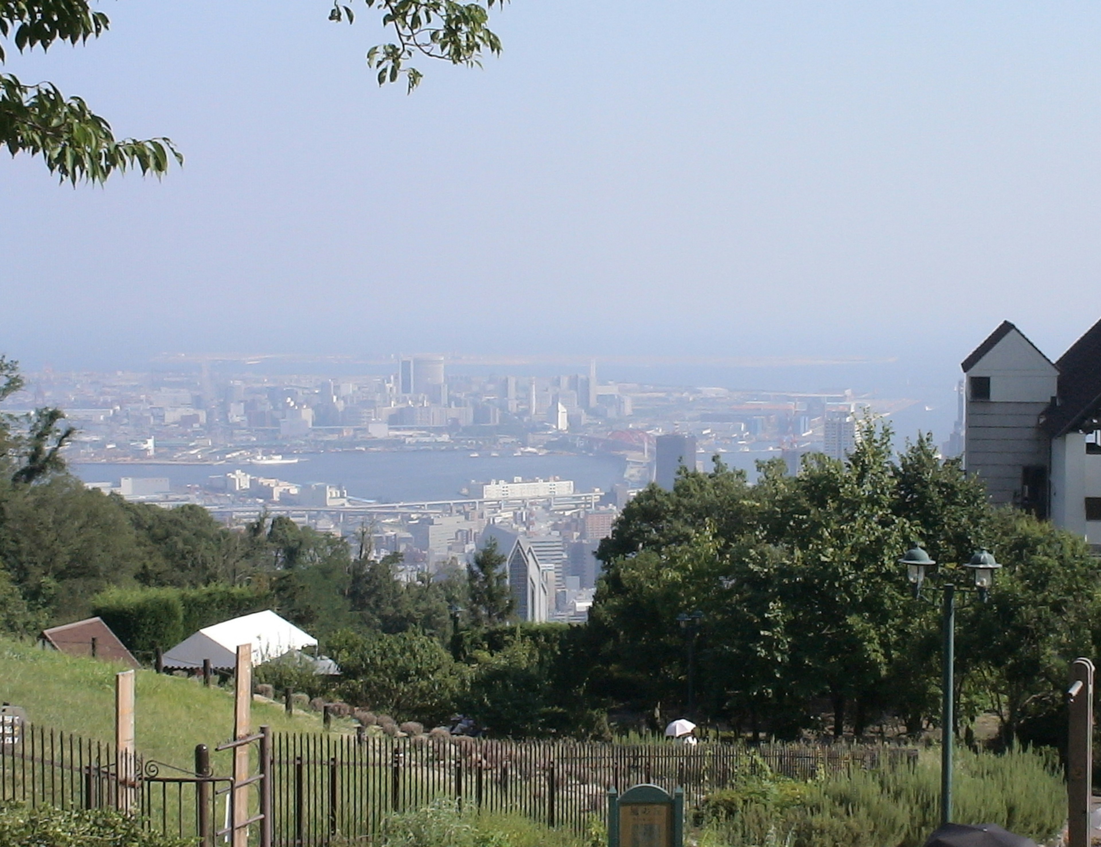 山の上からの景色都市と海が見える緑の丘