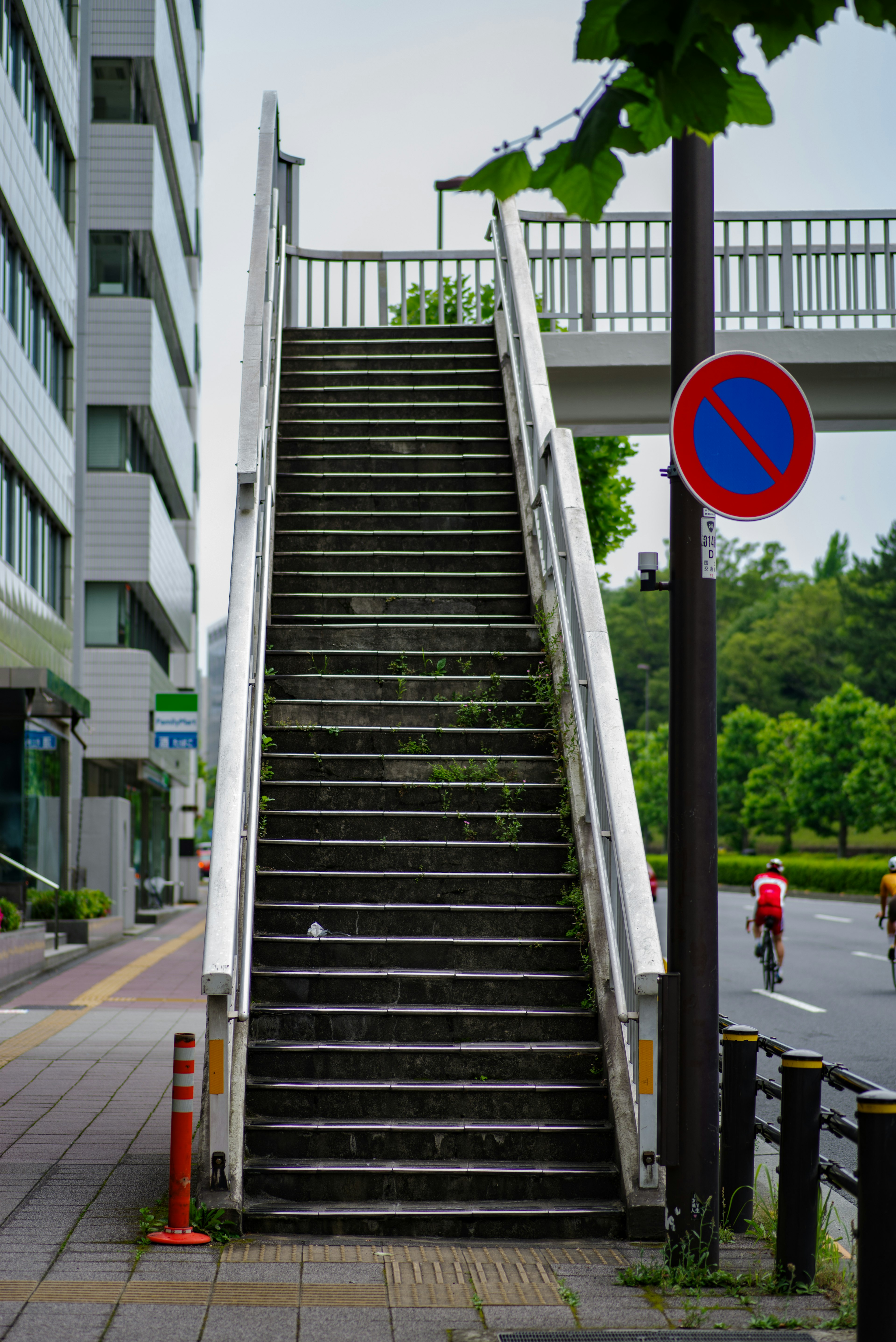 Staircase leading to an overpass surrounded by buildings and greenery