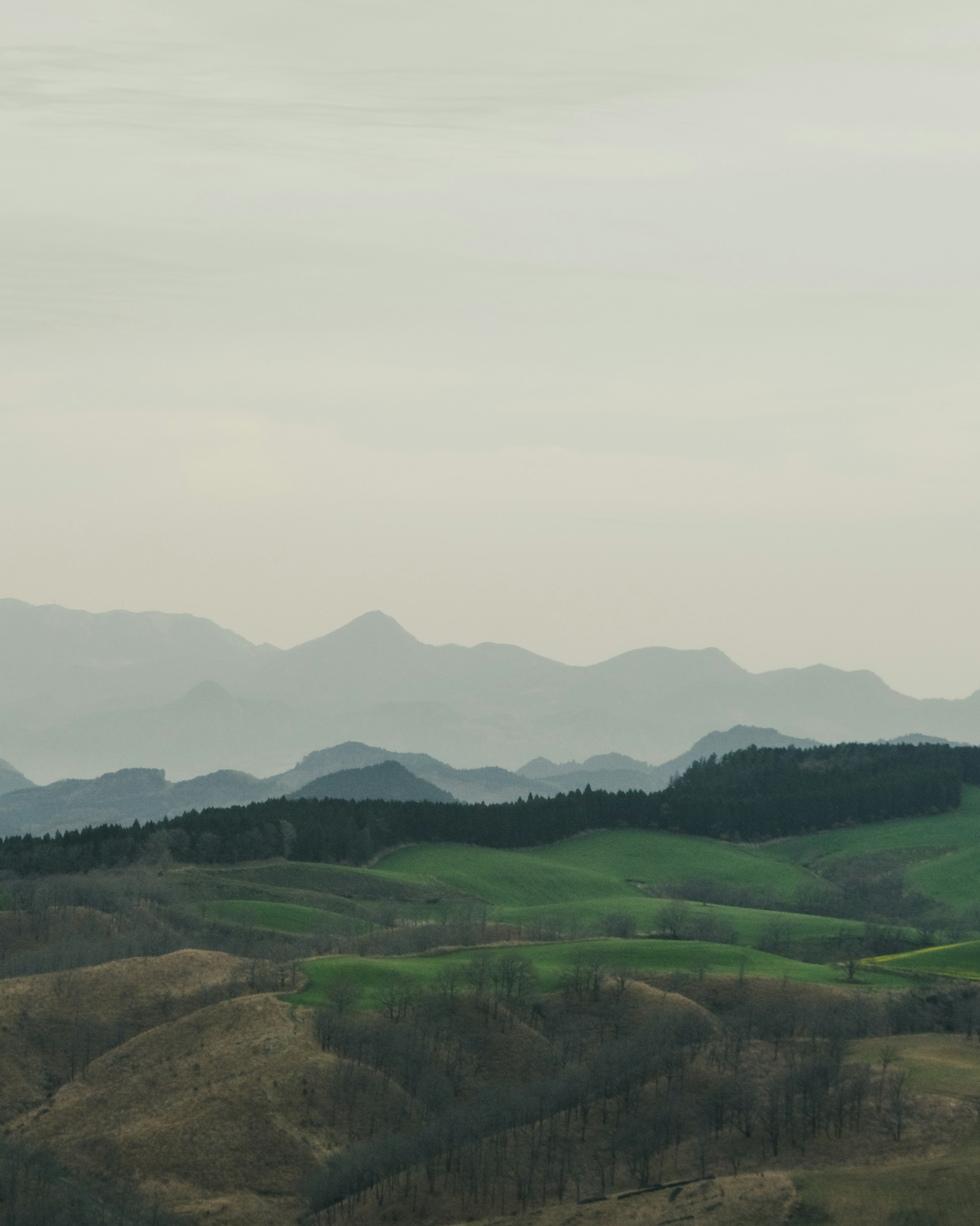 Serene landscape featuring green hills and distant mountains