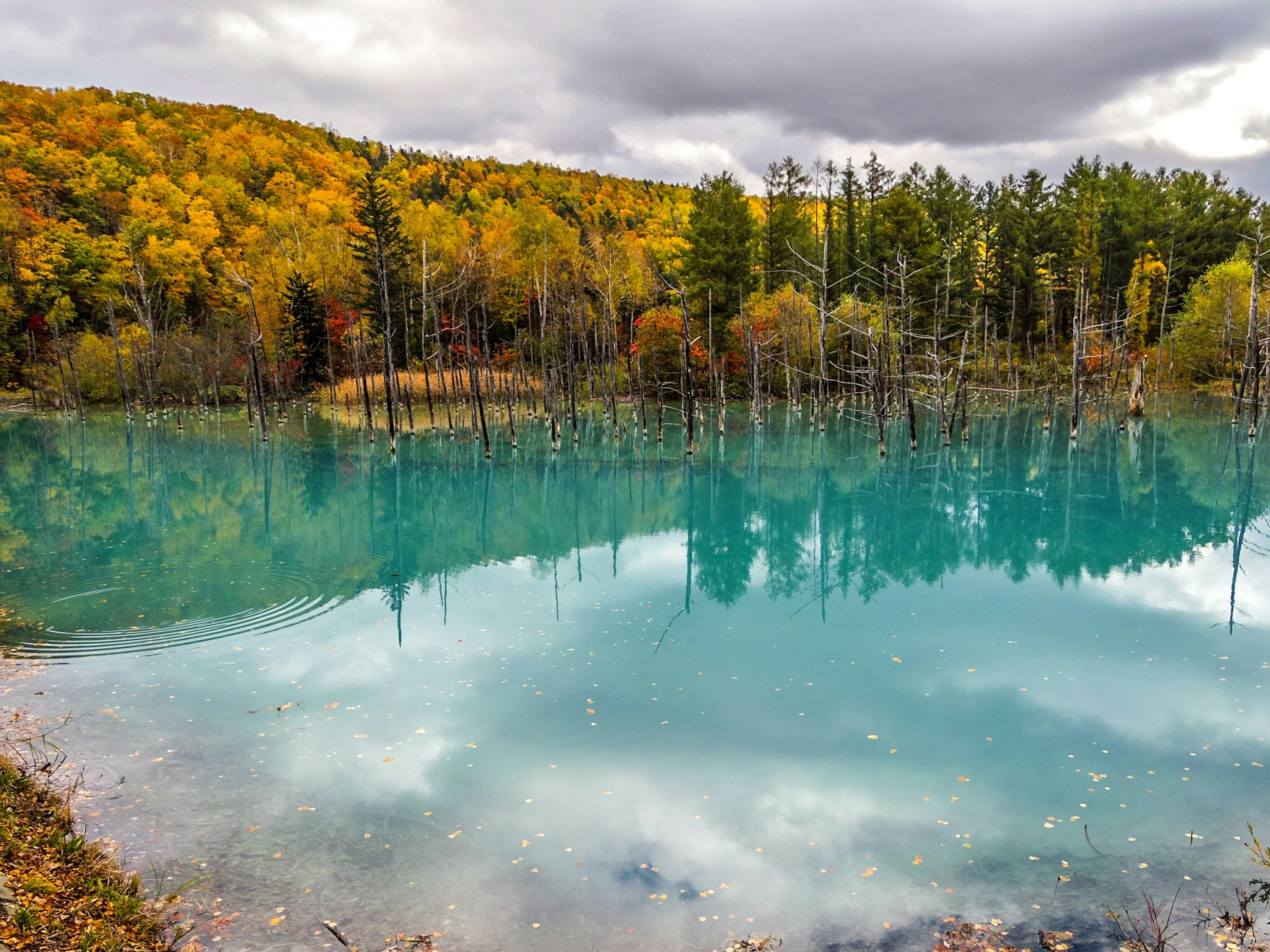 Un lago turquesa sereno rodeado de un follaje otoñal vibrante