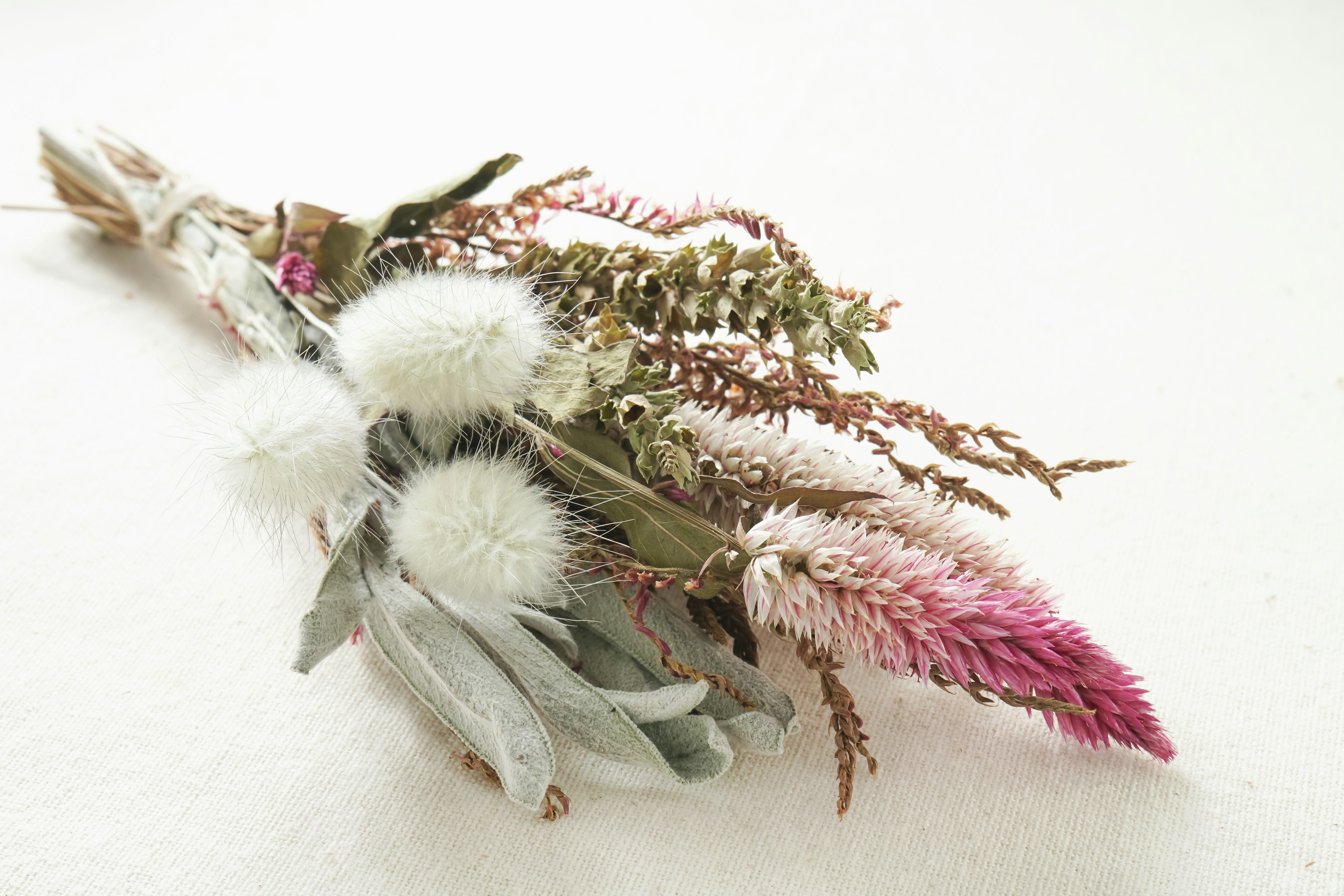 A soft-colored bouquet of dried flowers arranged on a white background