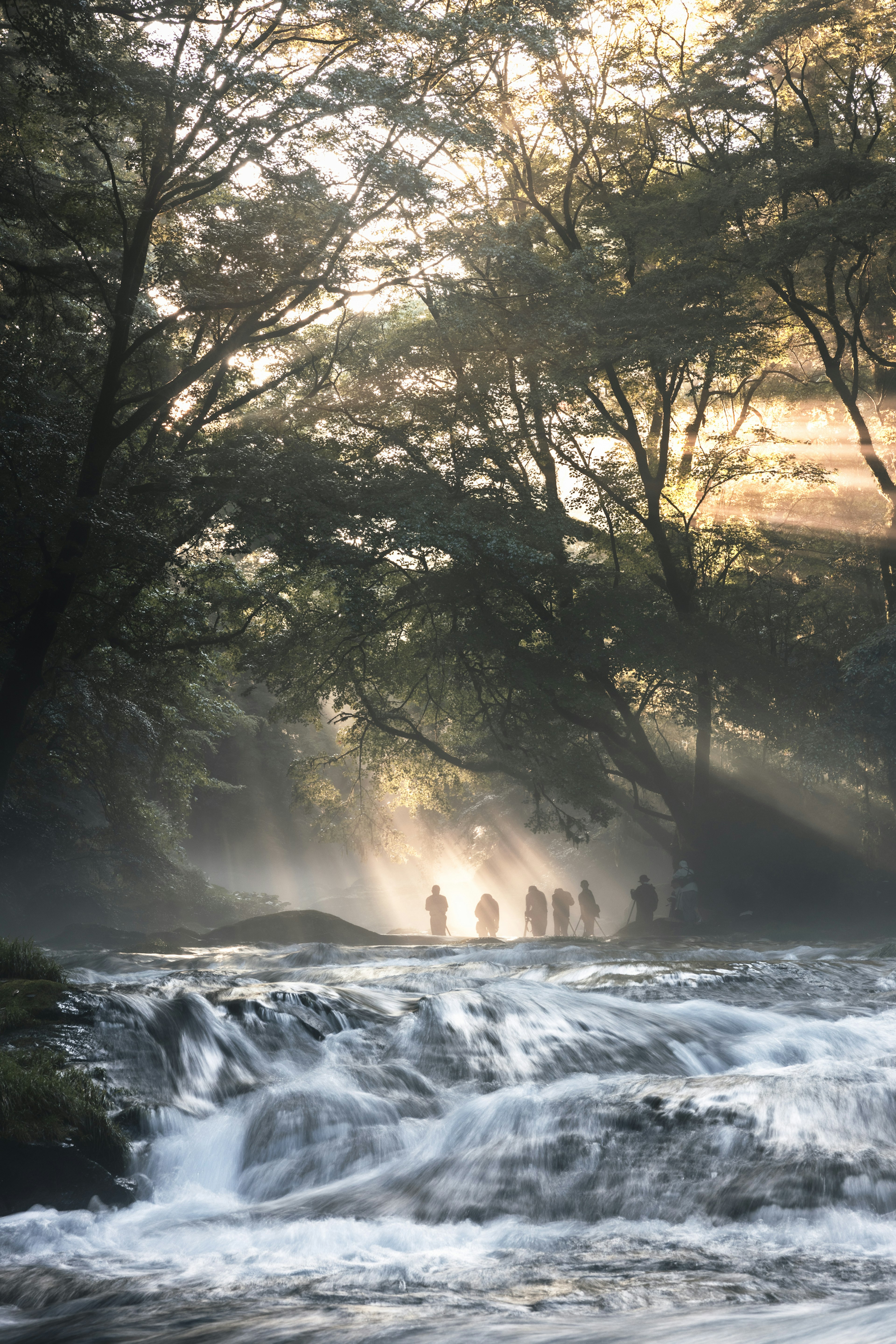 霧の中を歩く人々と滝のある森林の景色