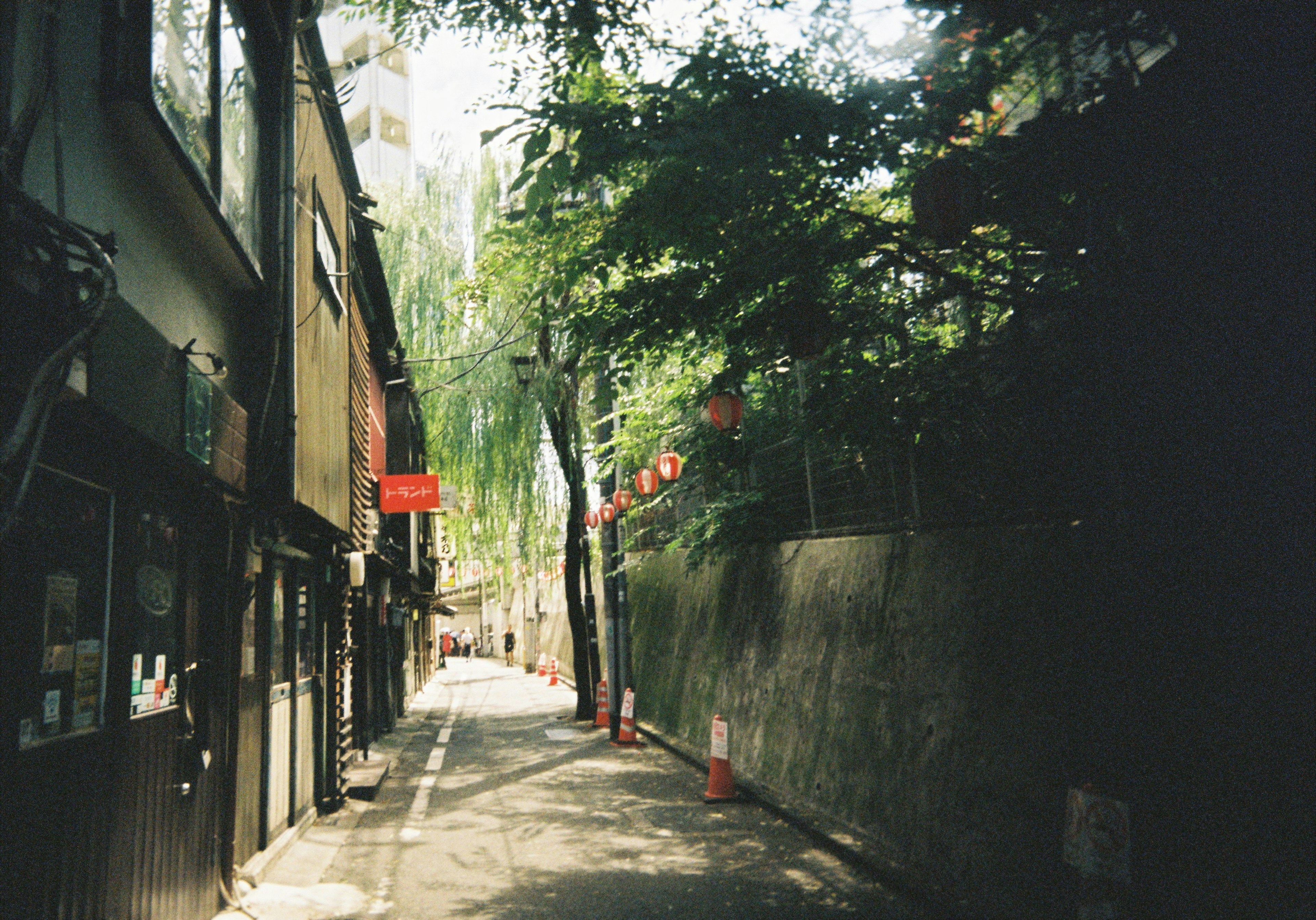 緑に囲まれた狭い通りと古い建物が並ぶ風景