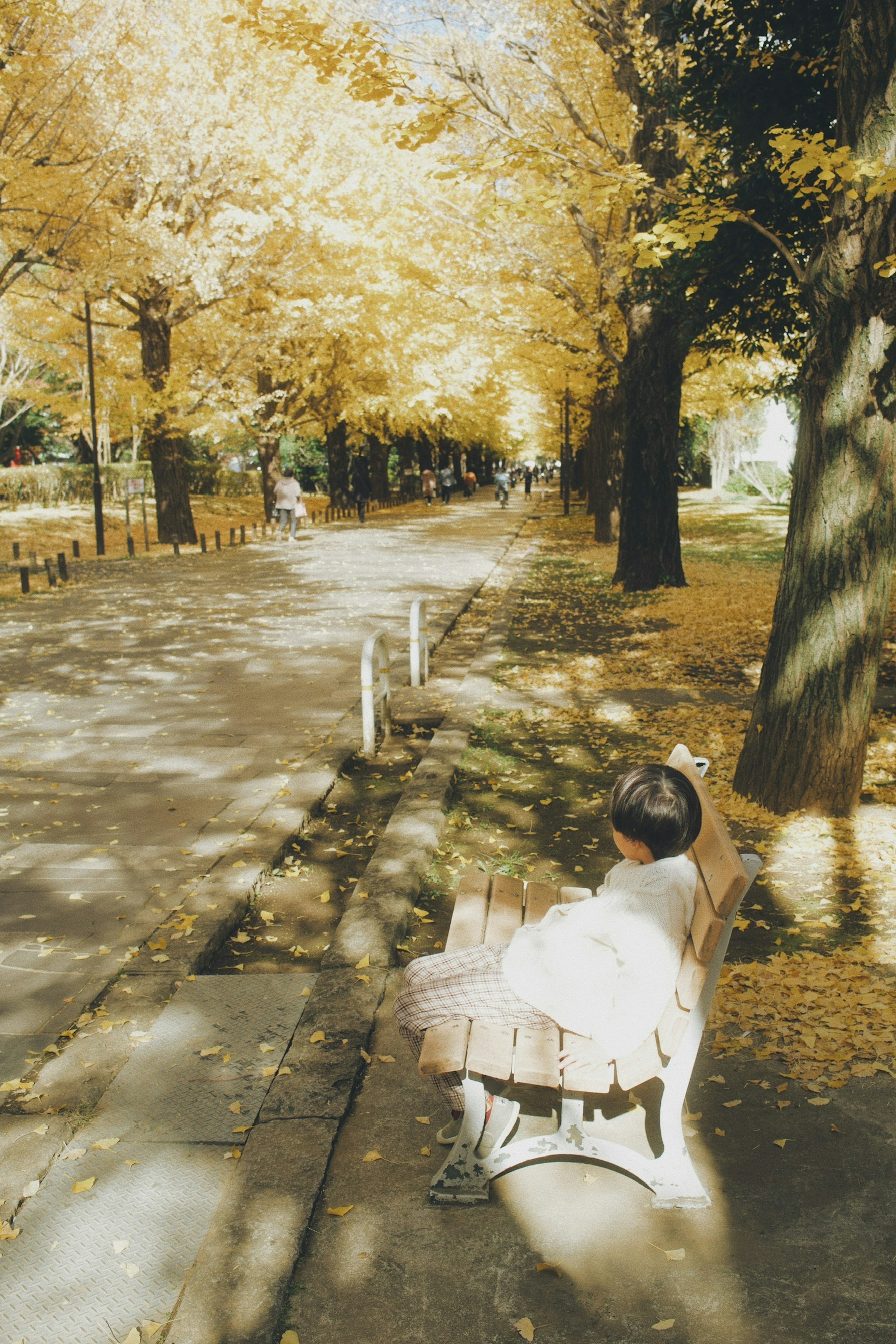 Enfant assis sur un banc dans un parc d'automne avec des arbres dorés le long du chemin