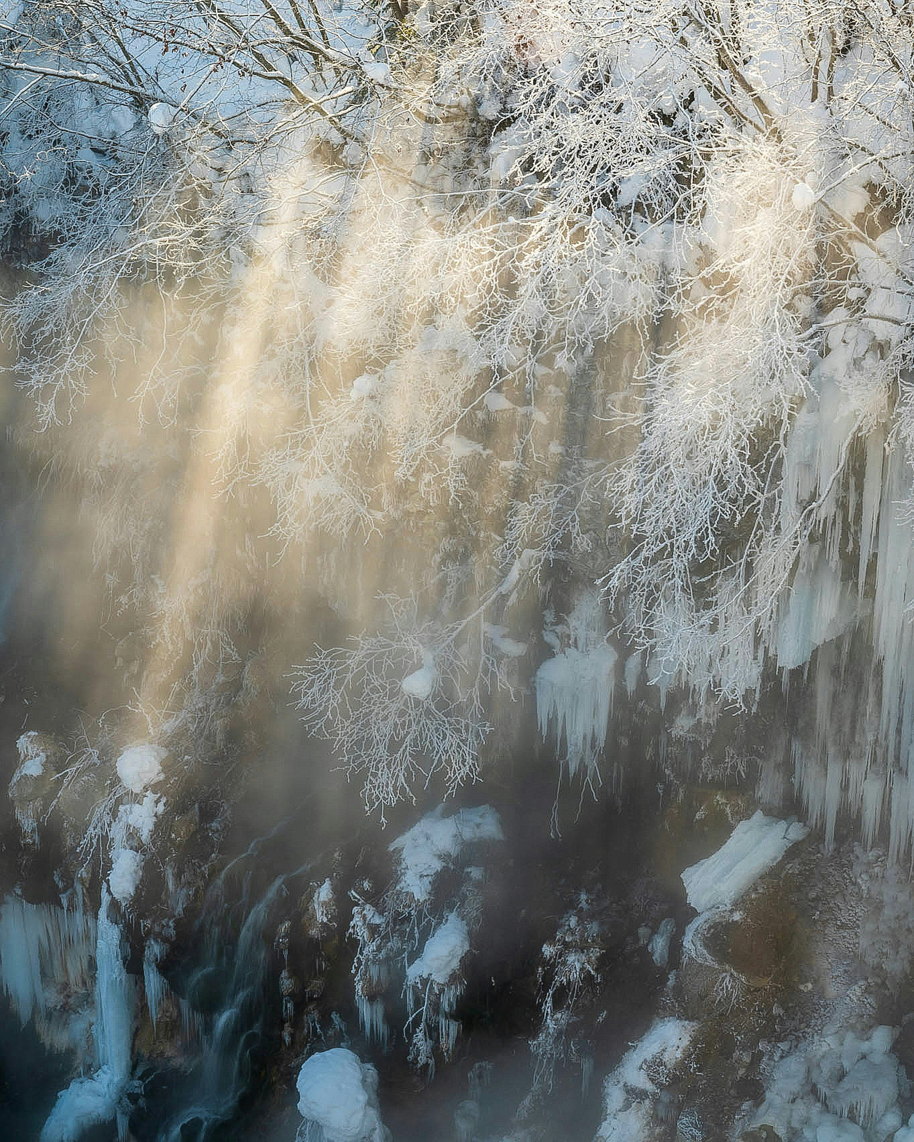 Bella scena invernale con luce che filtra attraverso un paesaggio coperto di neve e ghiaccio