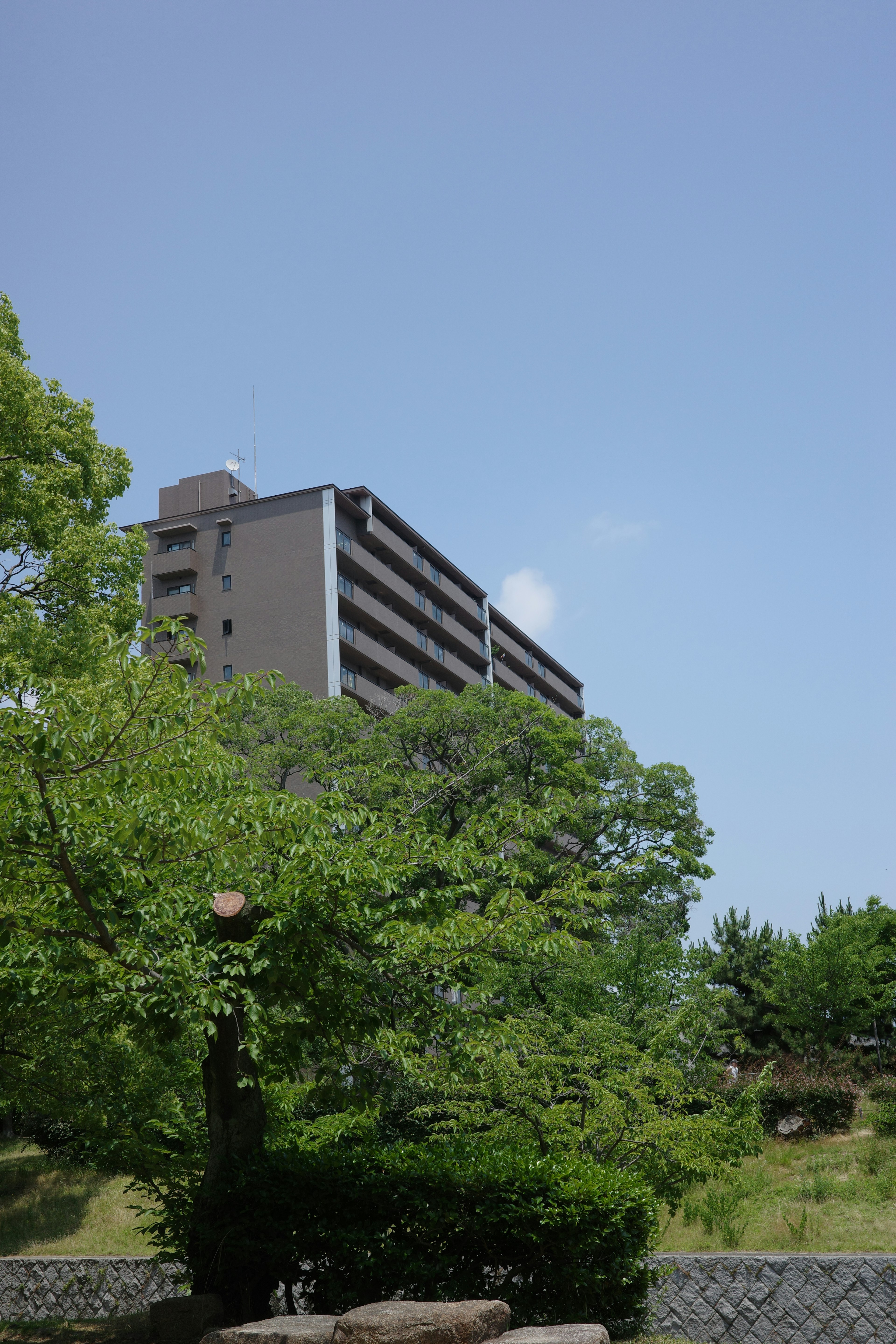 Edificio alto circondato da alberi verdi e cielo blu chiaro