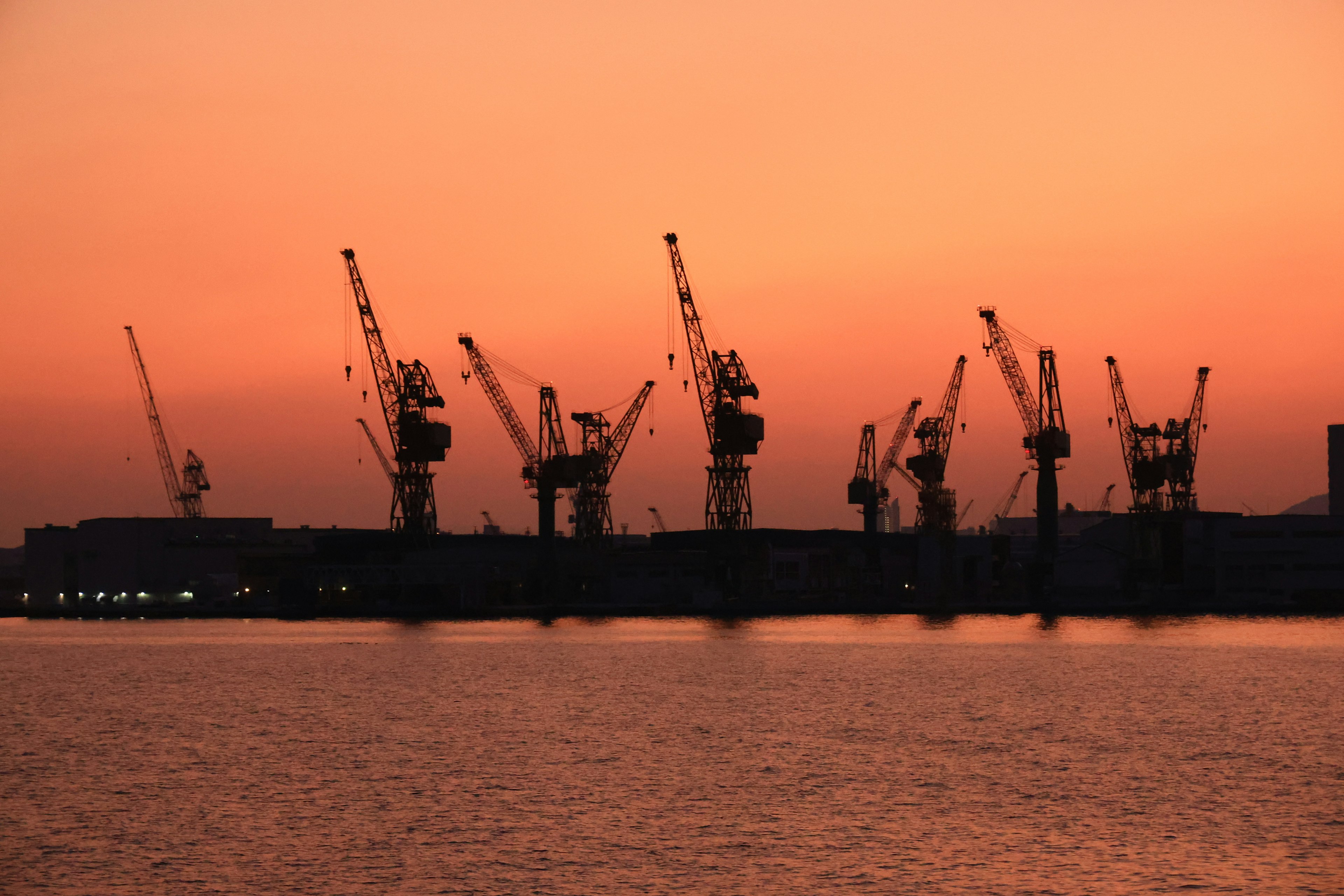 Silhouettes de grues contre un ciel au coucher du soleil