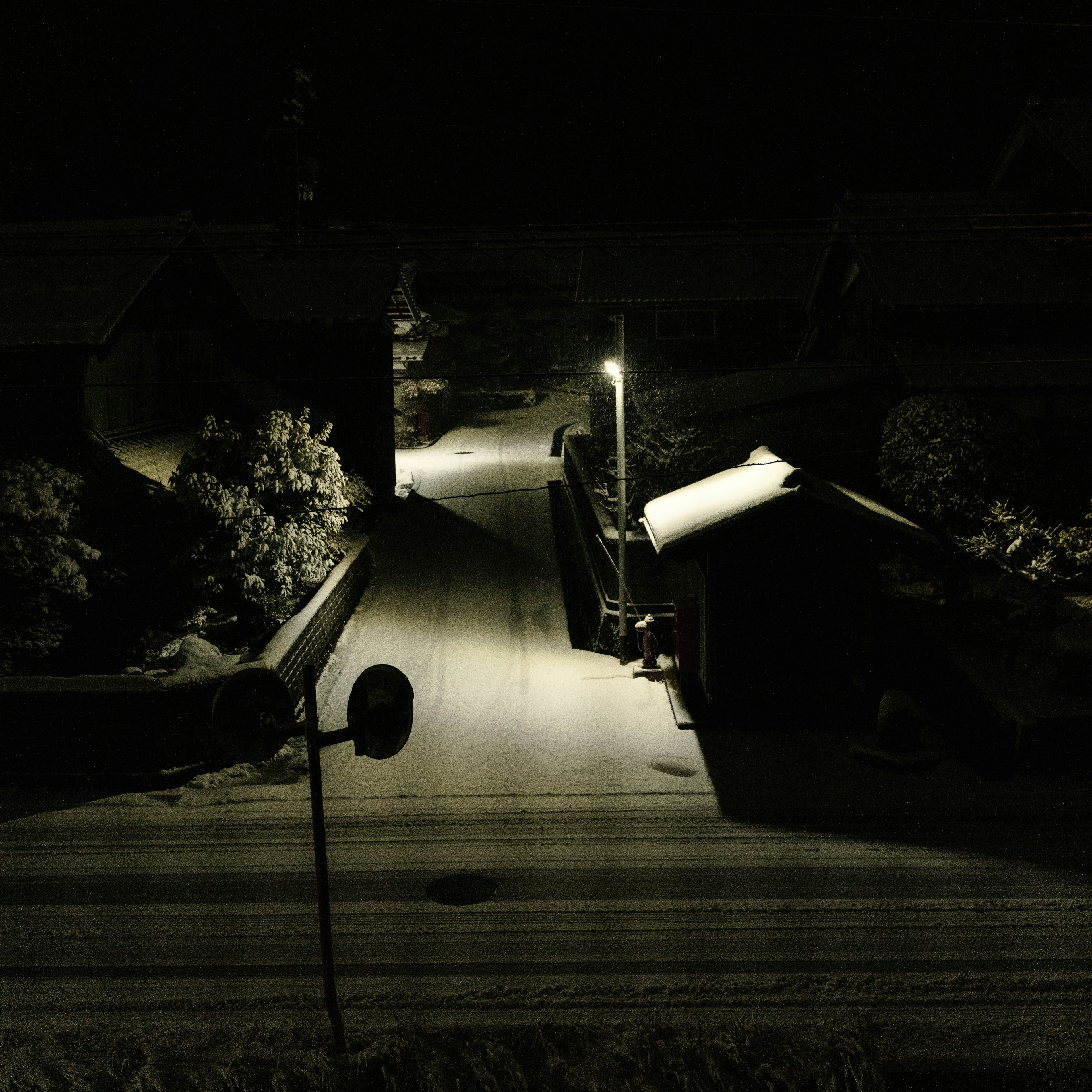 Scène nocturne enneigée avec une rue tranquille éclairée par un lampadaire toits et arbres recouverts de neige