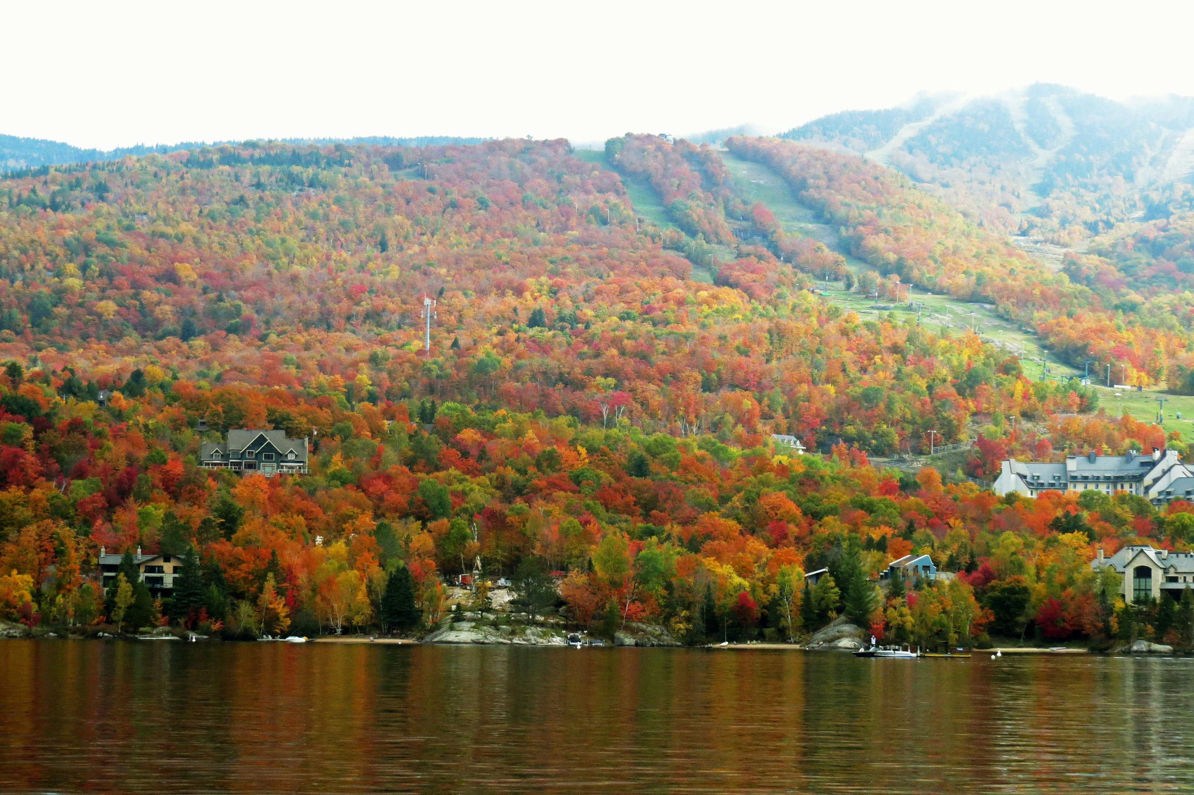 Paysage d'automne avec feuillage coloré et lac