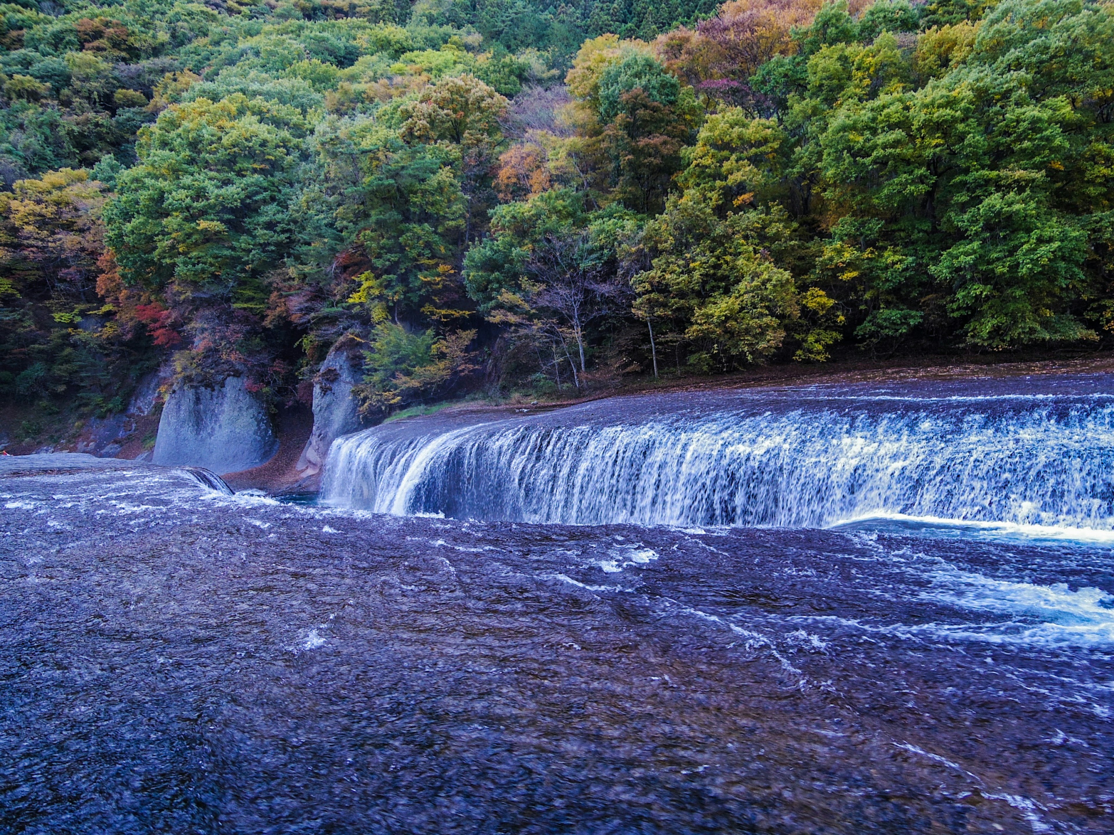 Cascada escénica rodeada de árboles verdes exuberantes