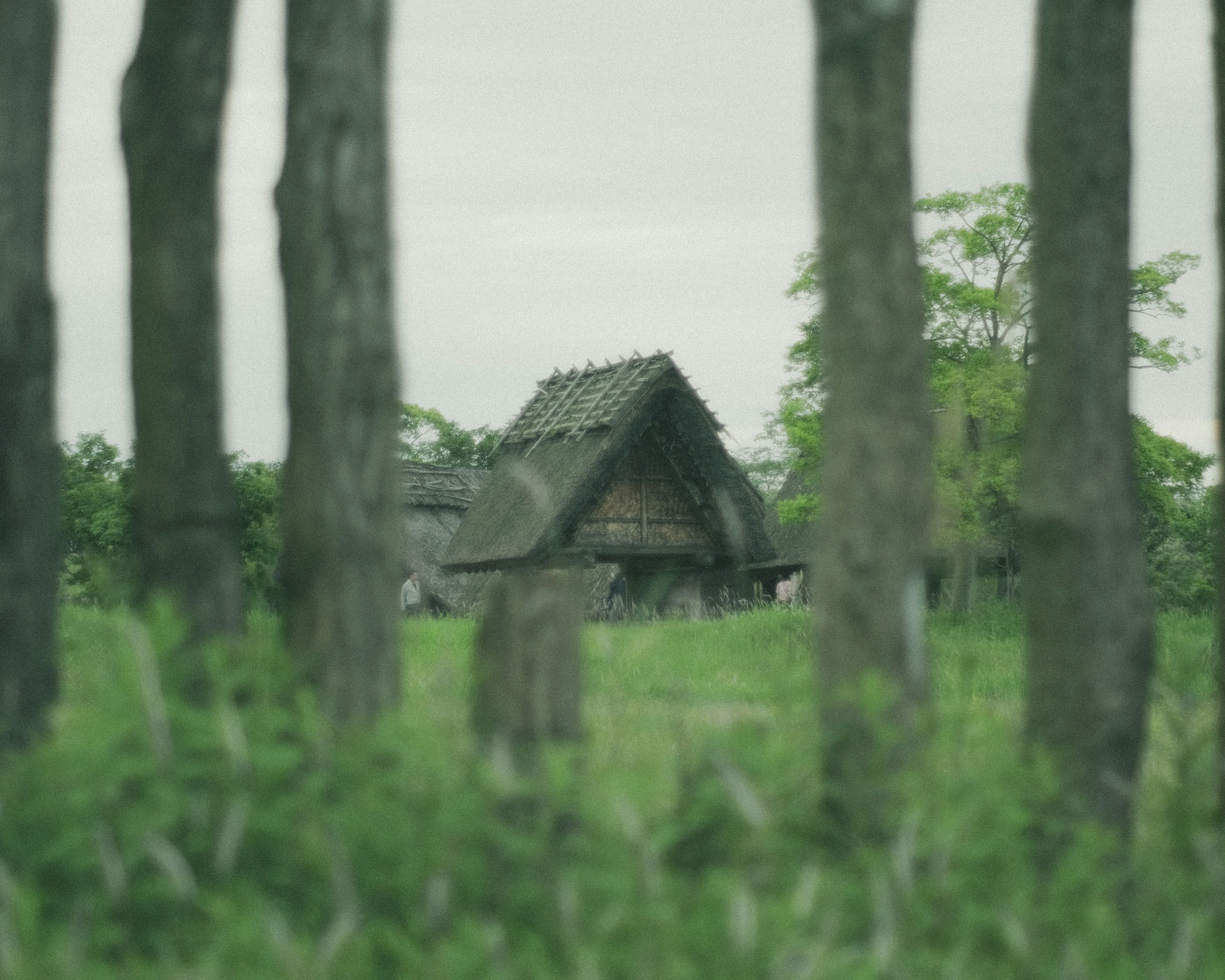 Maison traditionnelle entourée de prairies vertes et d'arbres