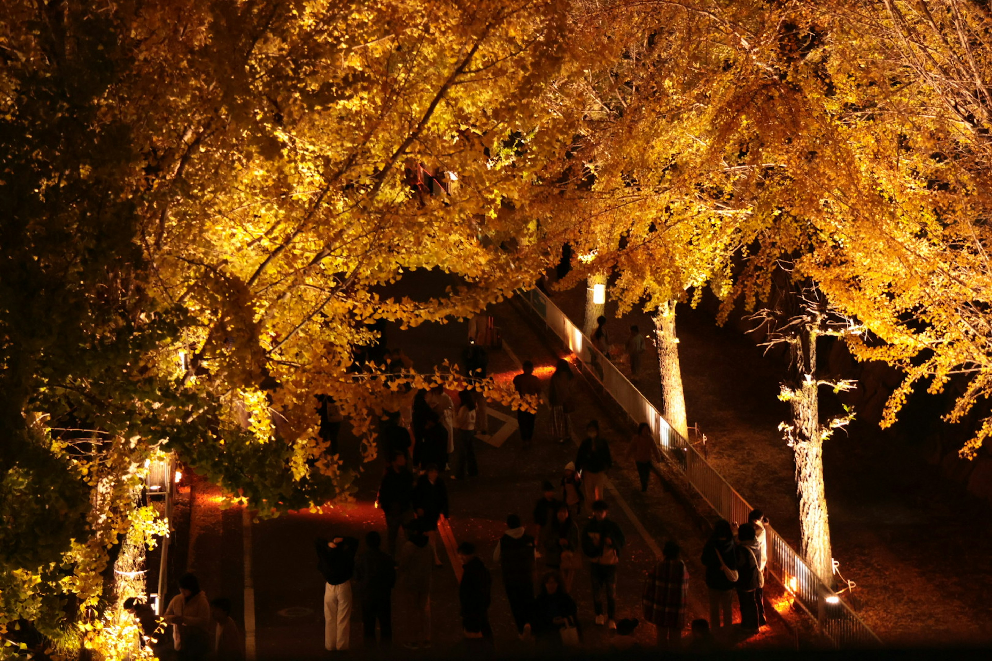 Escena nocturna de otoño con árboles dorados iluminados y personas reunidas