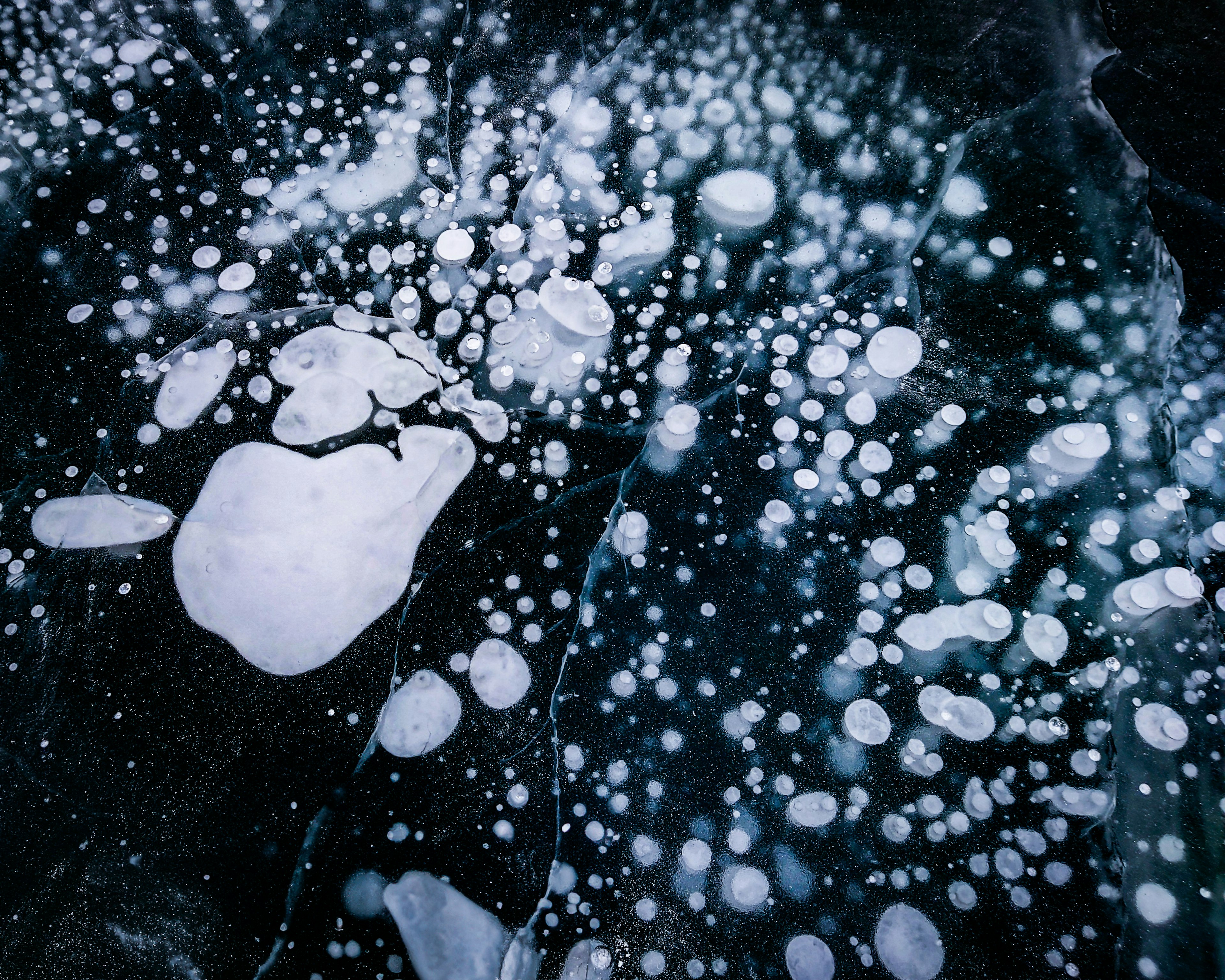 Primer plano de burbujas blancas flotando sobre el hielo