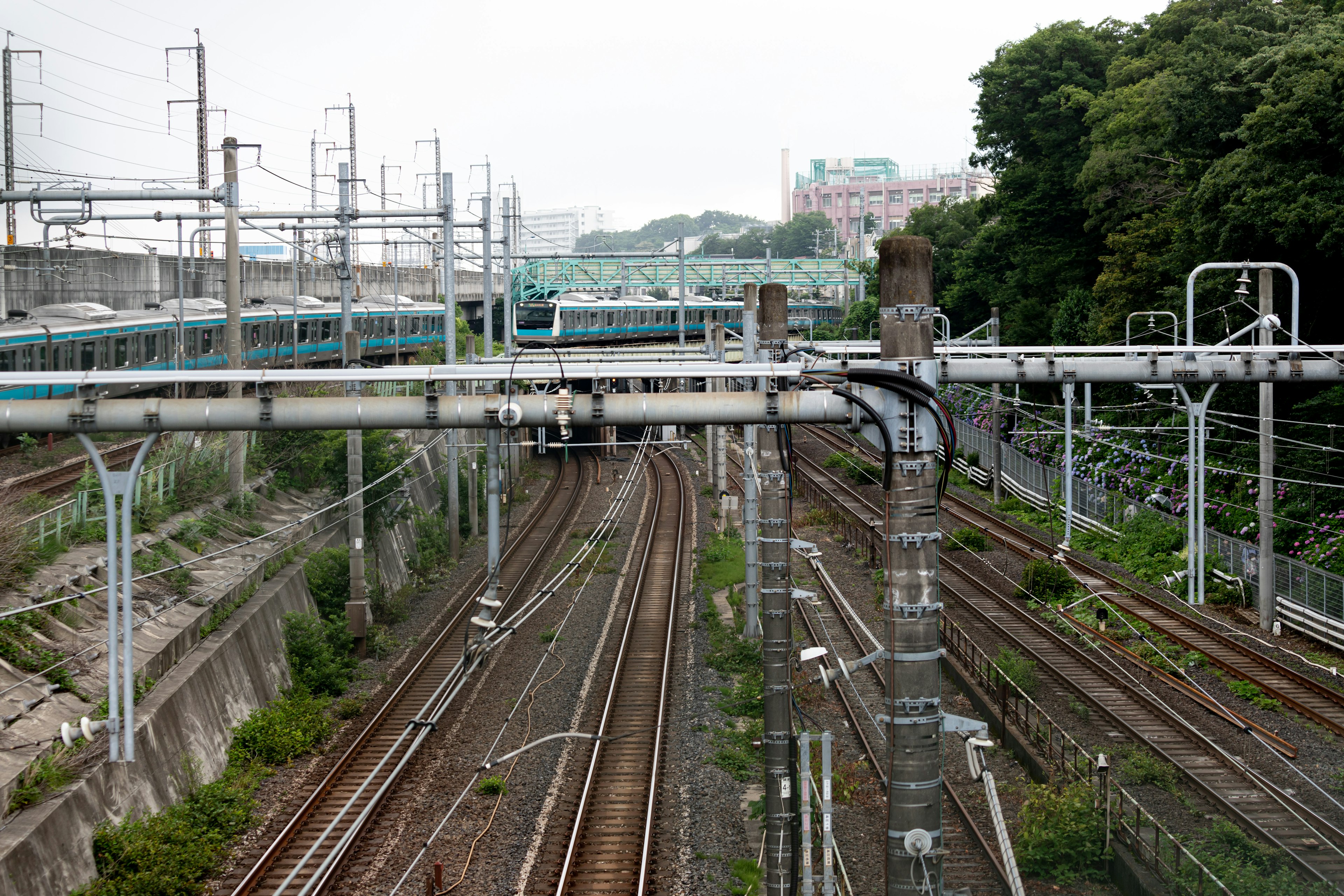 View of intersecting railway tracks and overhead wires with greenery and buildings in the background