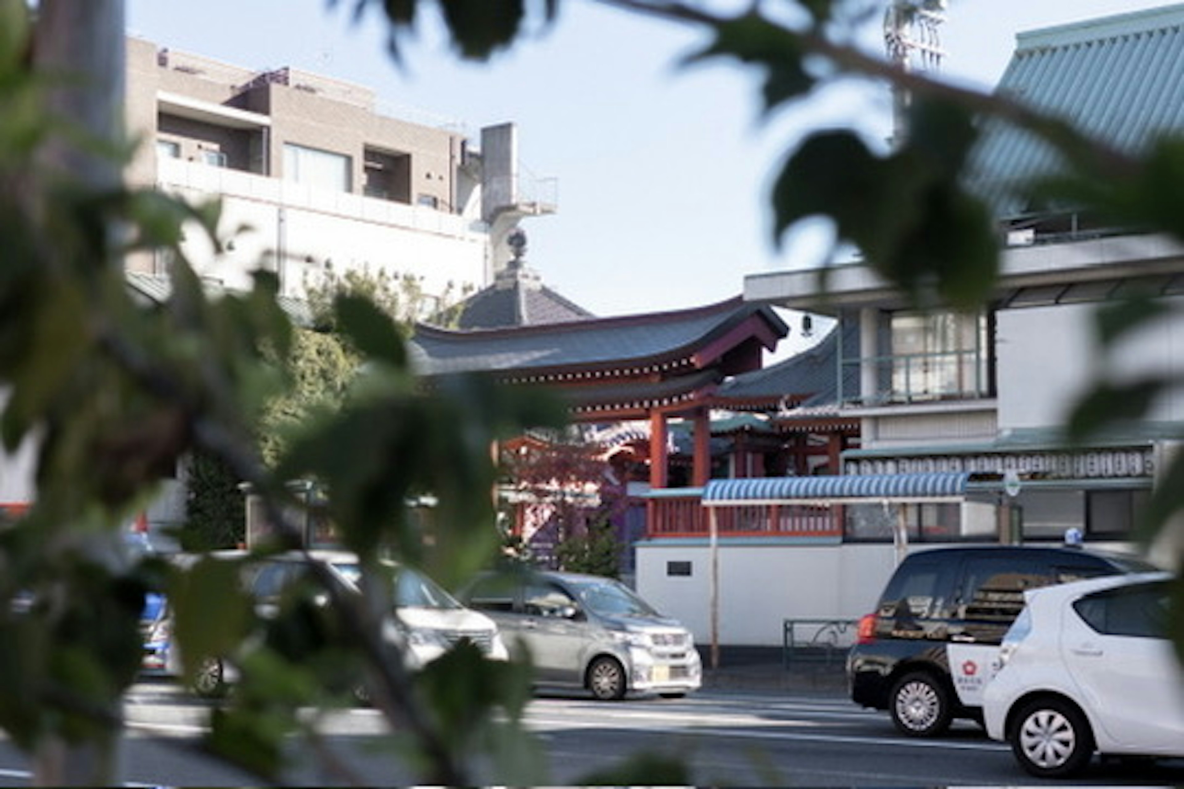 Red torii gate of a shrine visible through urban foliage