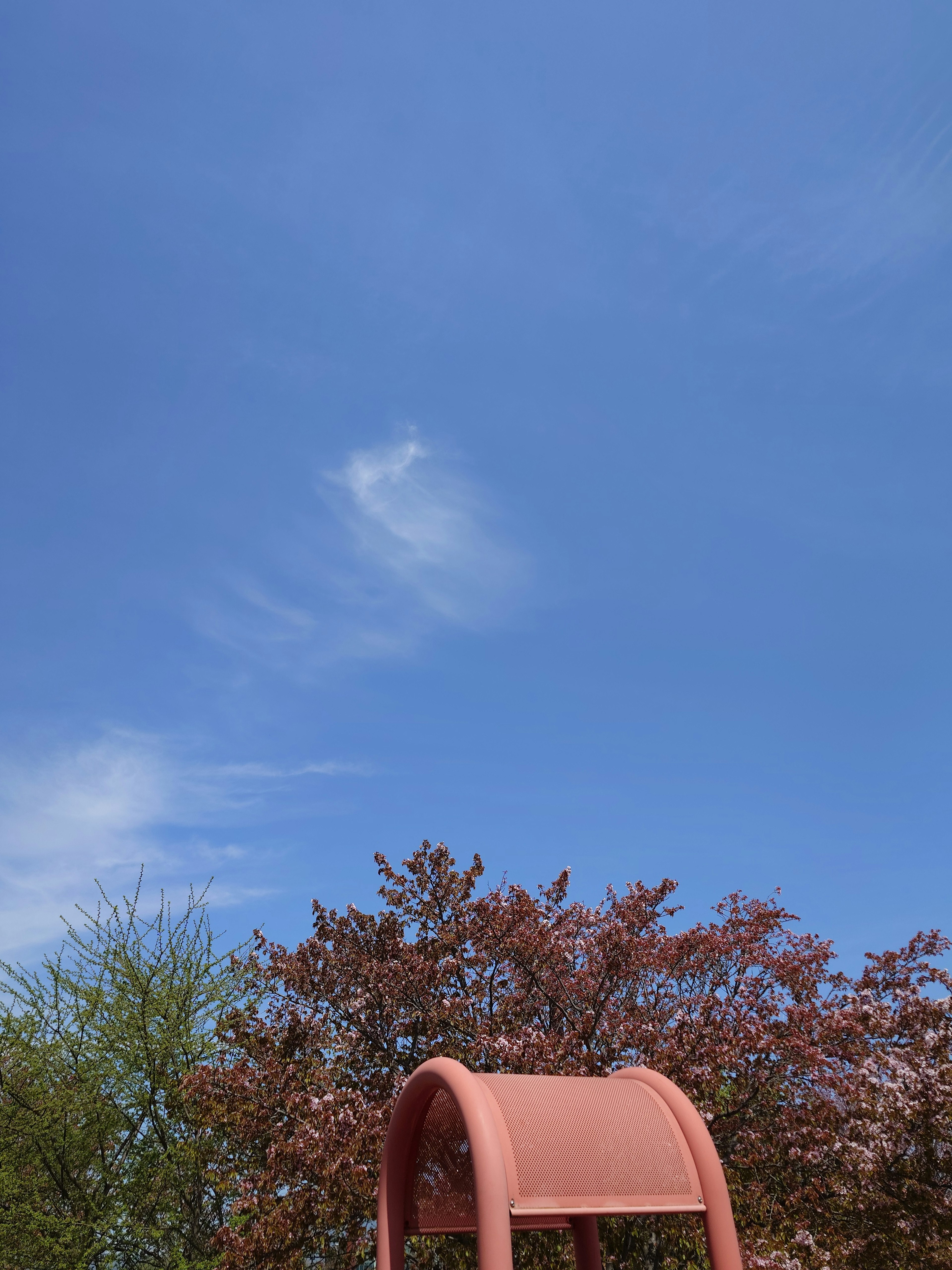 Park scene featuring a blue sky and pink cherry blossom tree with a red playground structure