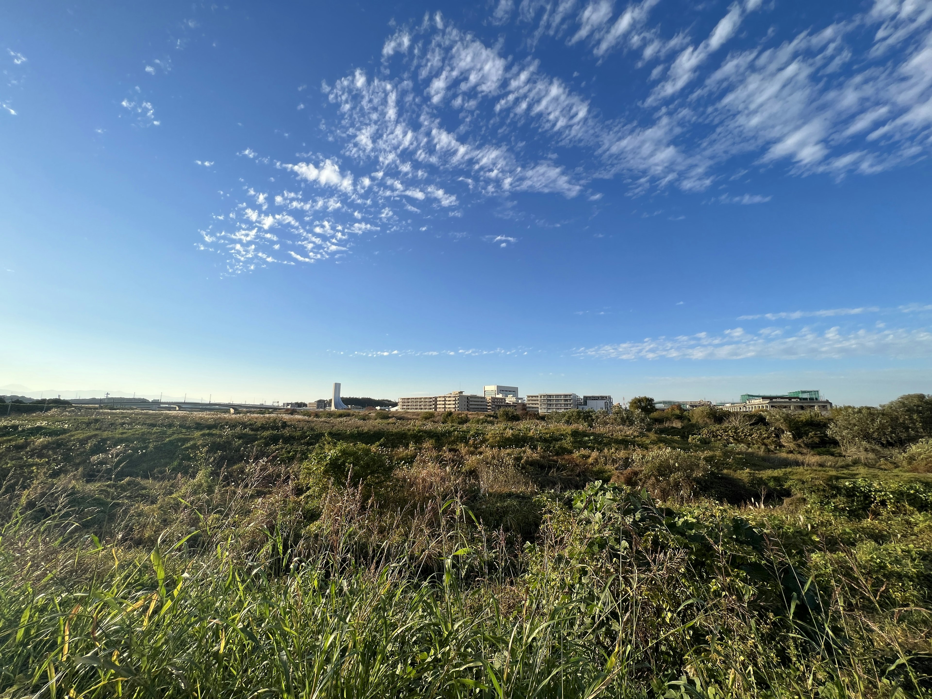 Landschaft mit blauem Himmel und Wolken, die ein Grasfeld und entfernte Gebäude zeigt