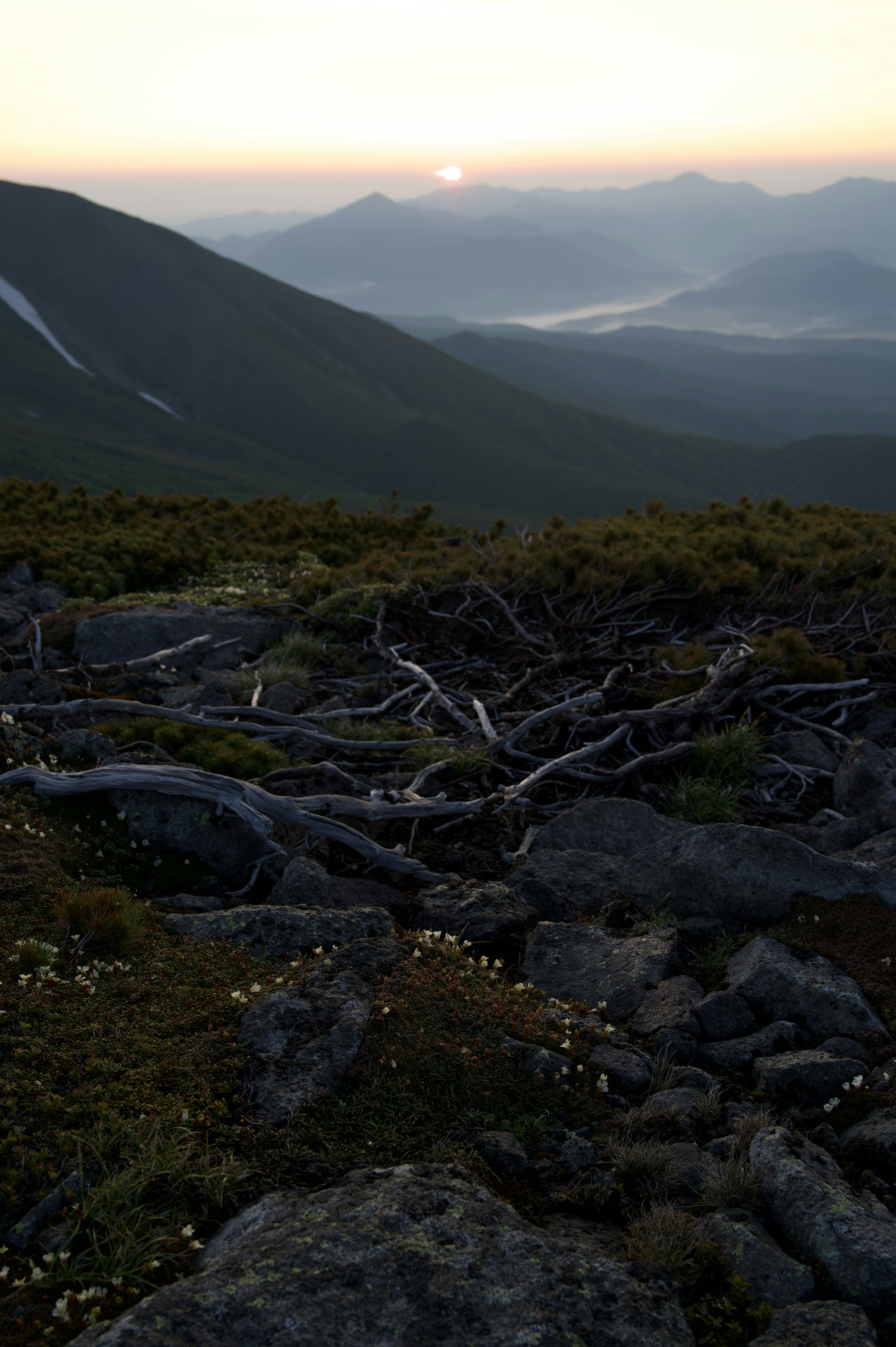 Mountain landscape at sunset with tree roots and rocks