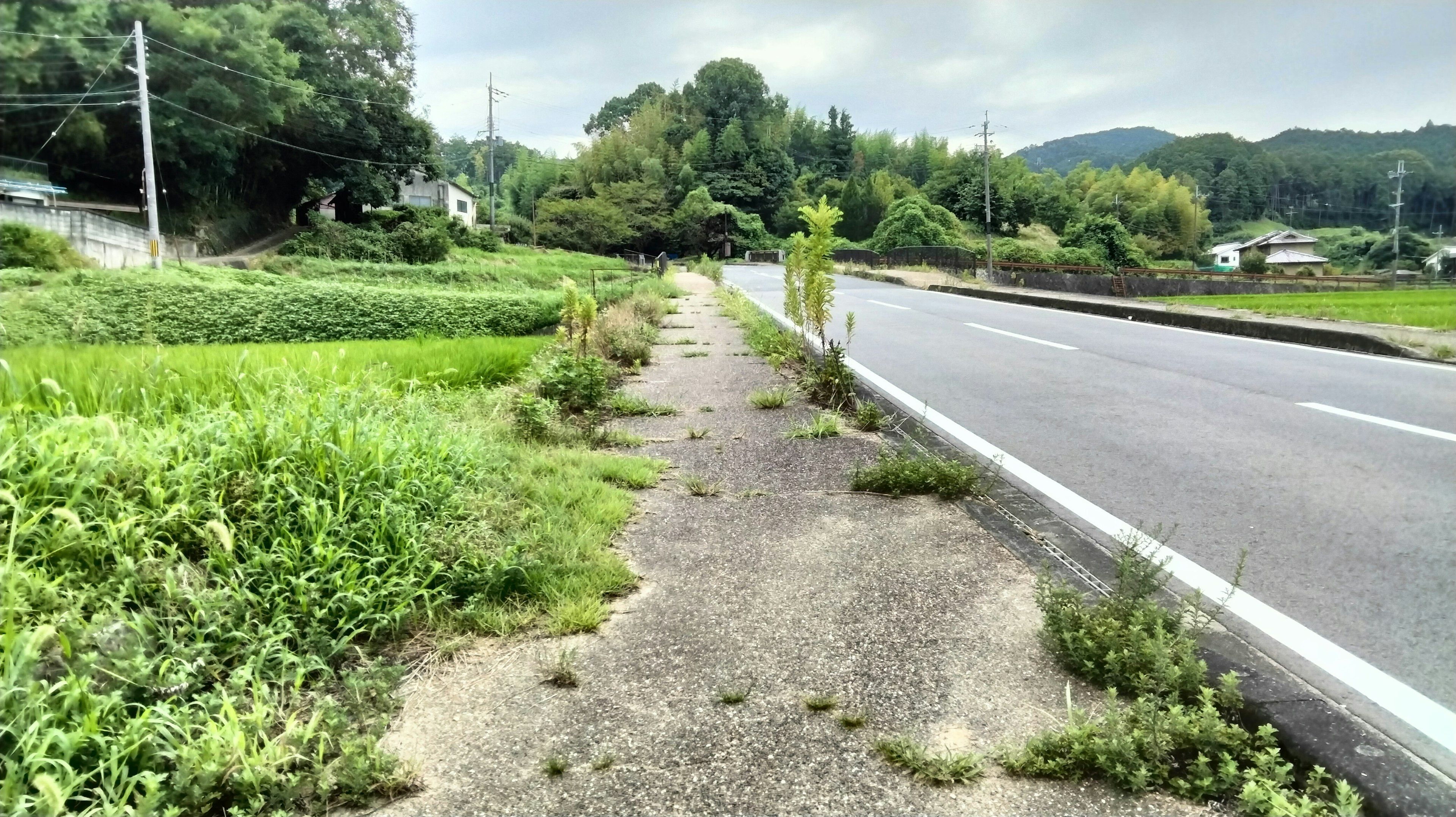 Allée pavée à côté de champs verts luxuriants et d'une route