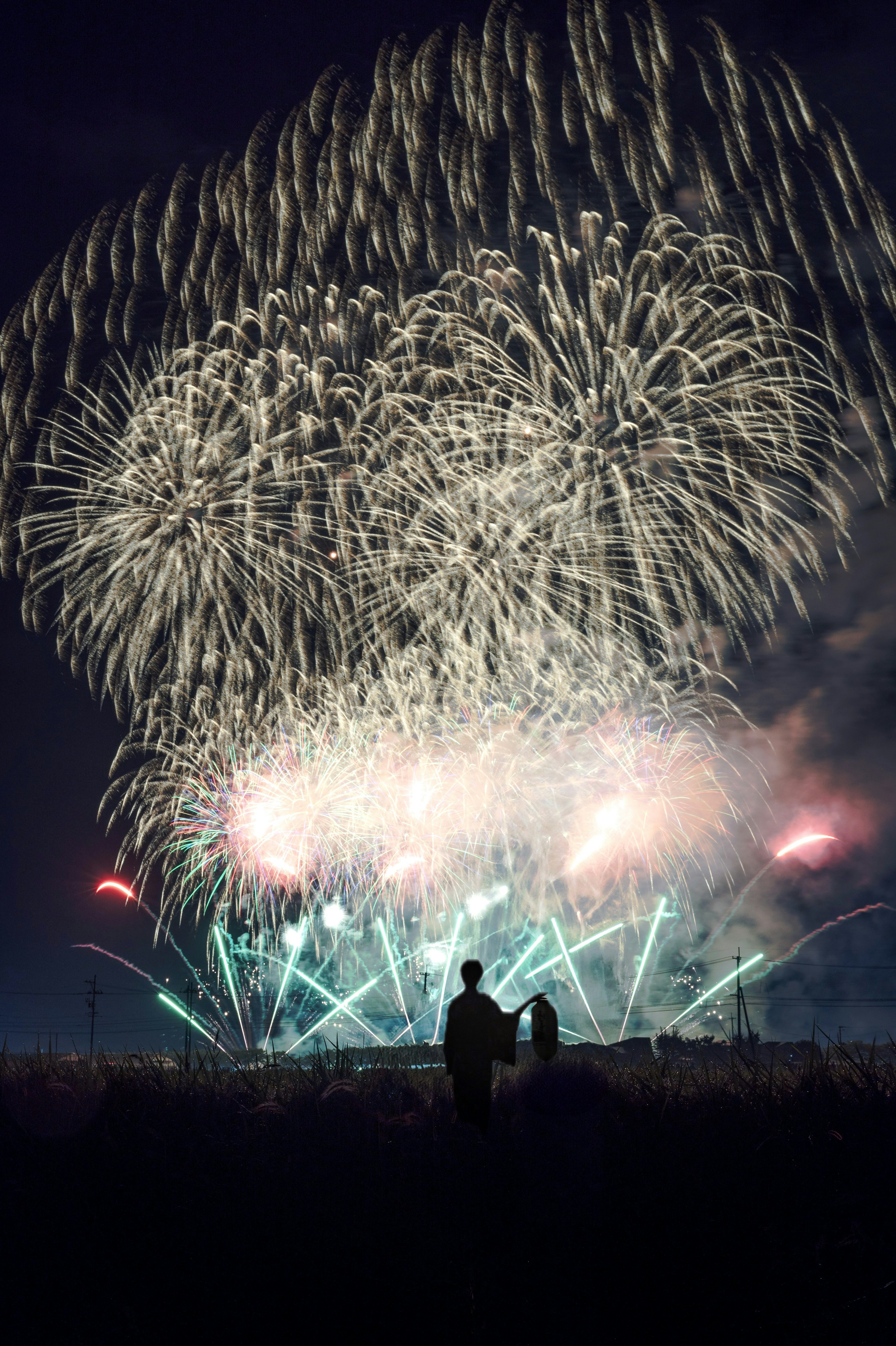 Feuerwerk, das den Nachthimmel mit der Silhouette eines Paares erleuchtet