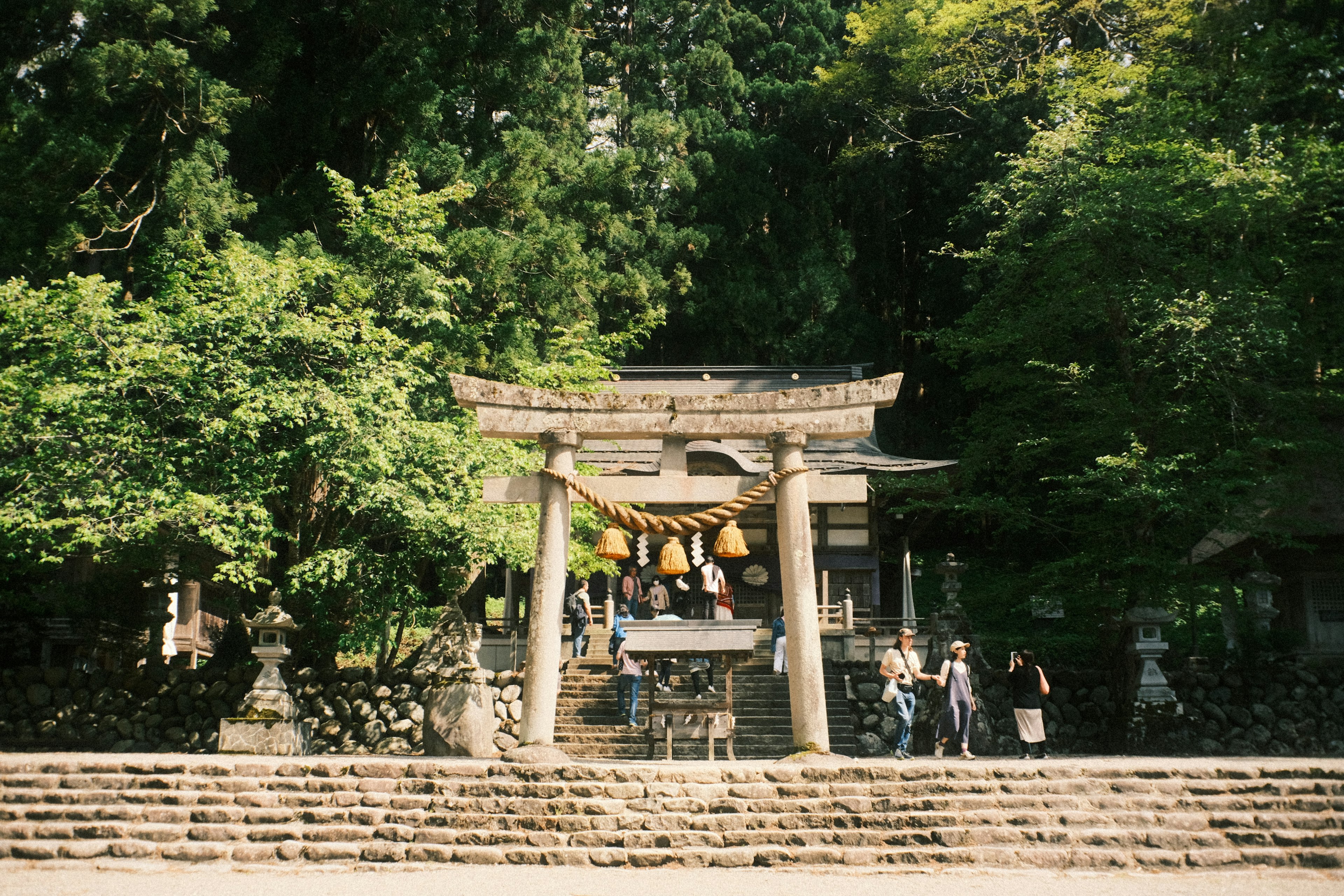 緑に囲まれた神社の入り口に立つ鳥居と参拝者