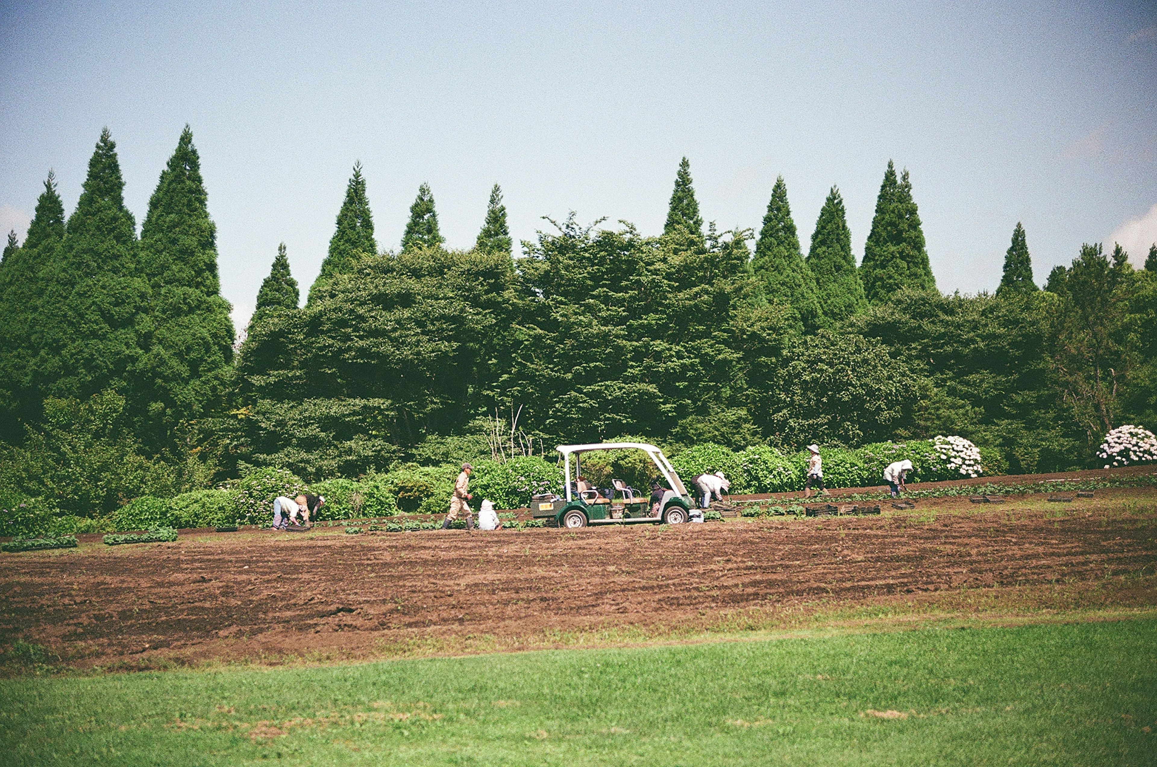 緑の木々に囲まれた農作業をする人々の風景