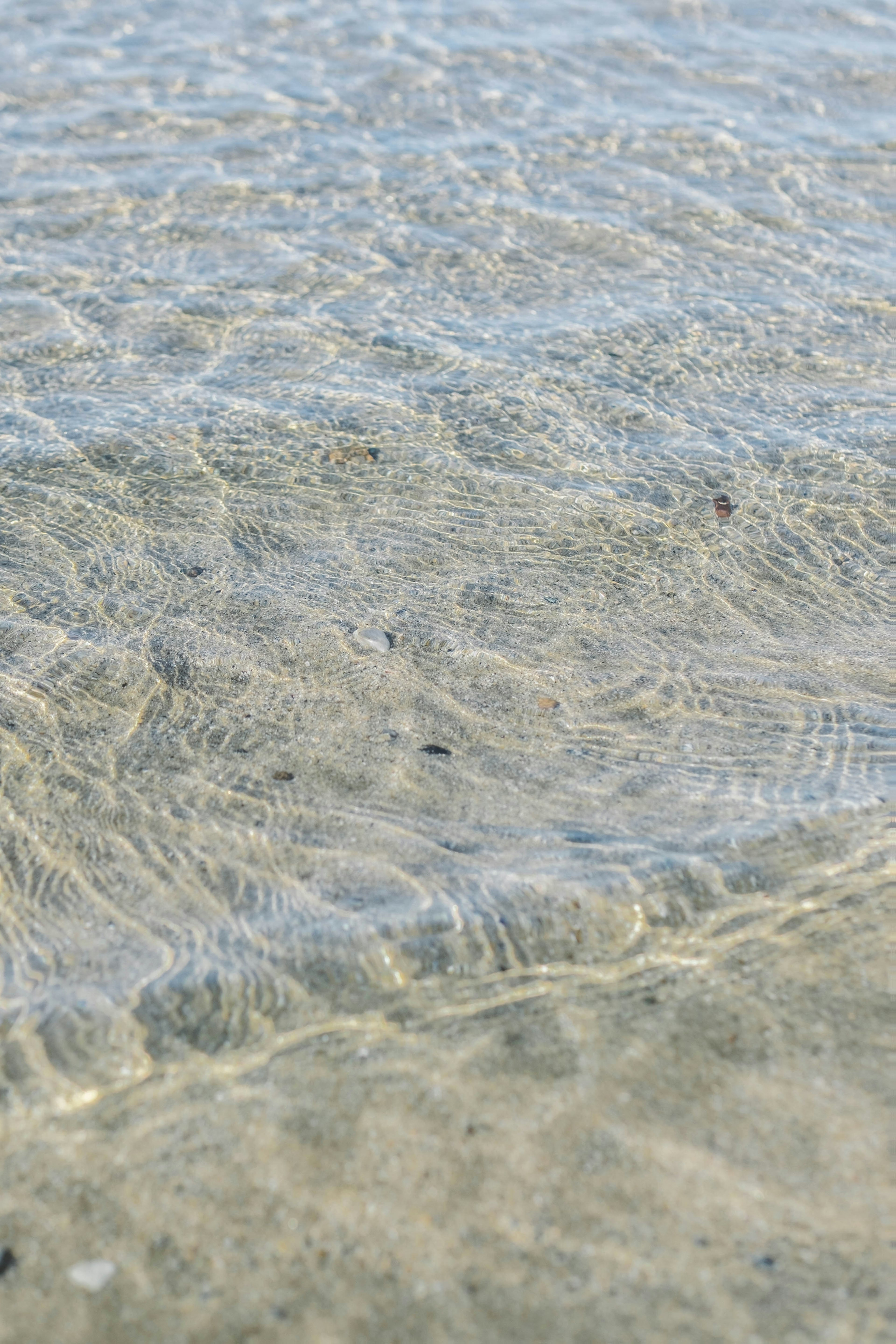 透き通った水面の波紋が見える海の画像