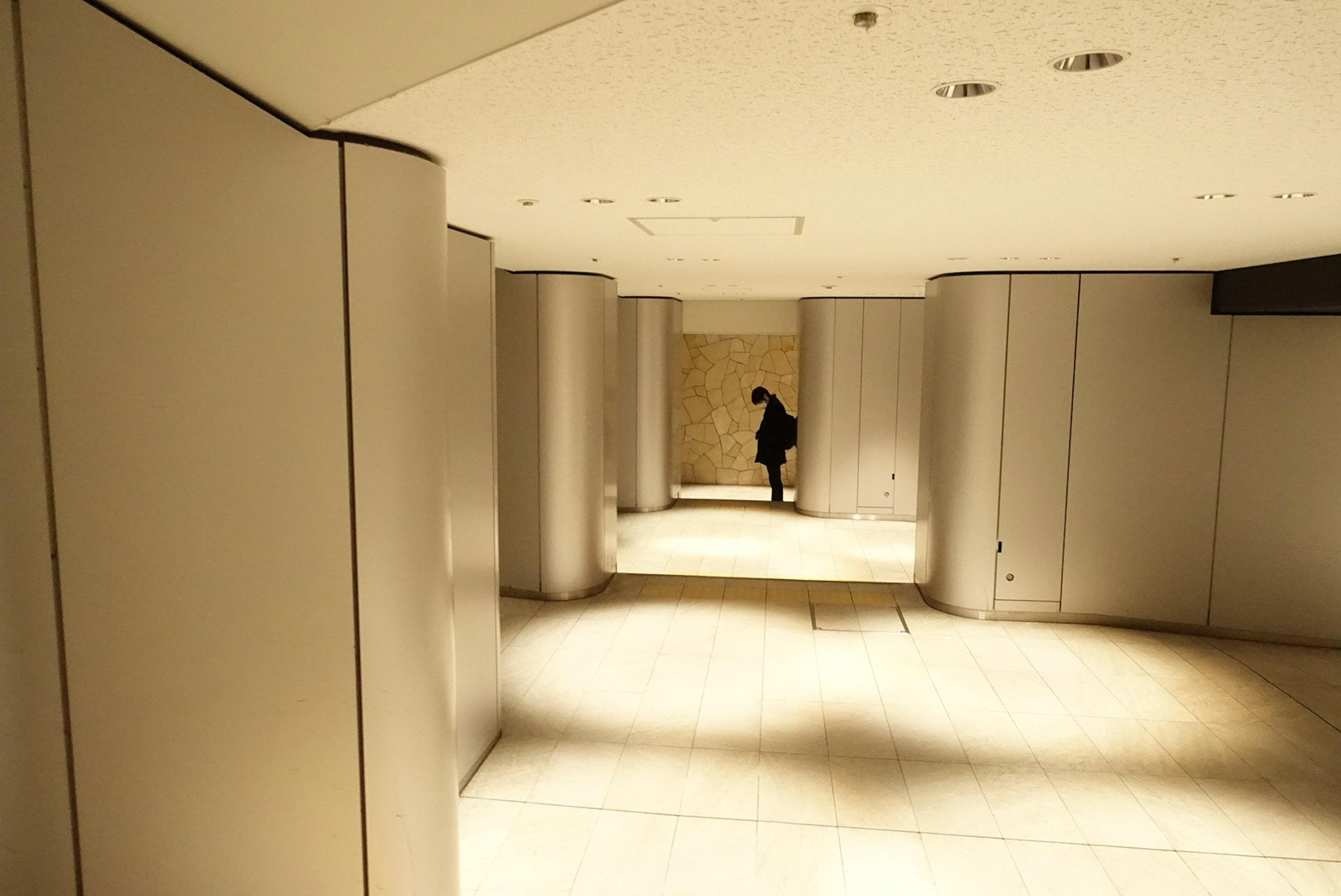 A silhouette of a person standing in a modern space with white walls and columns