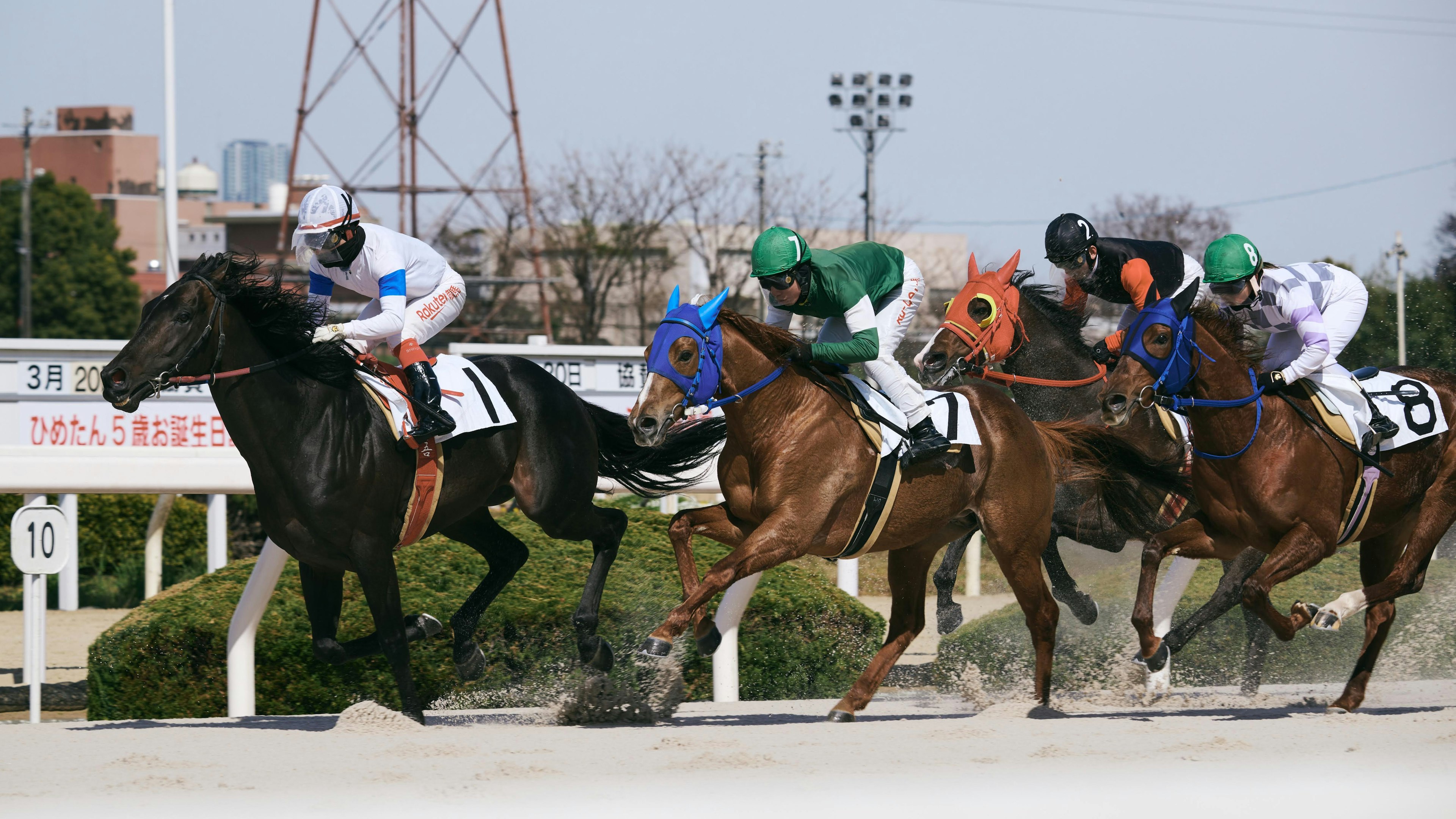 Des chevaux et des jockeys courant dans une course de chevaux