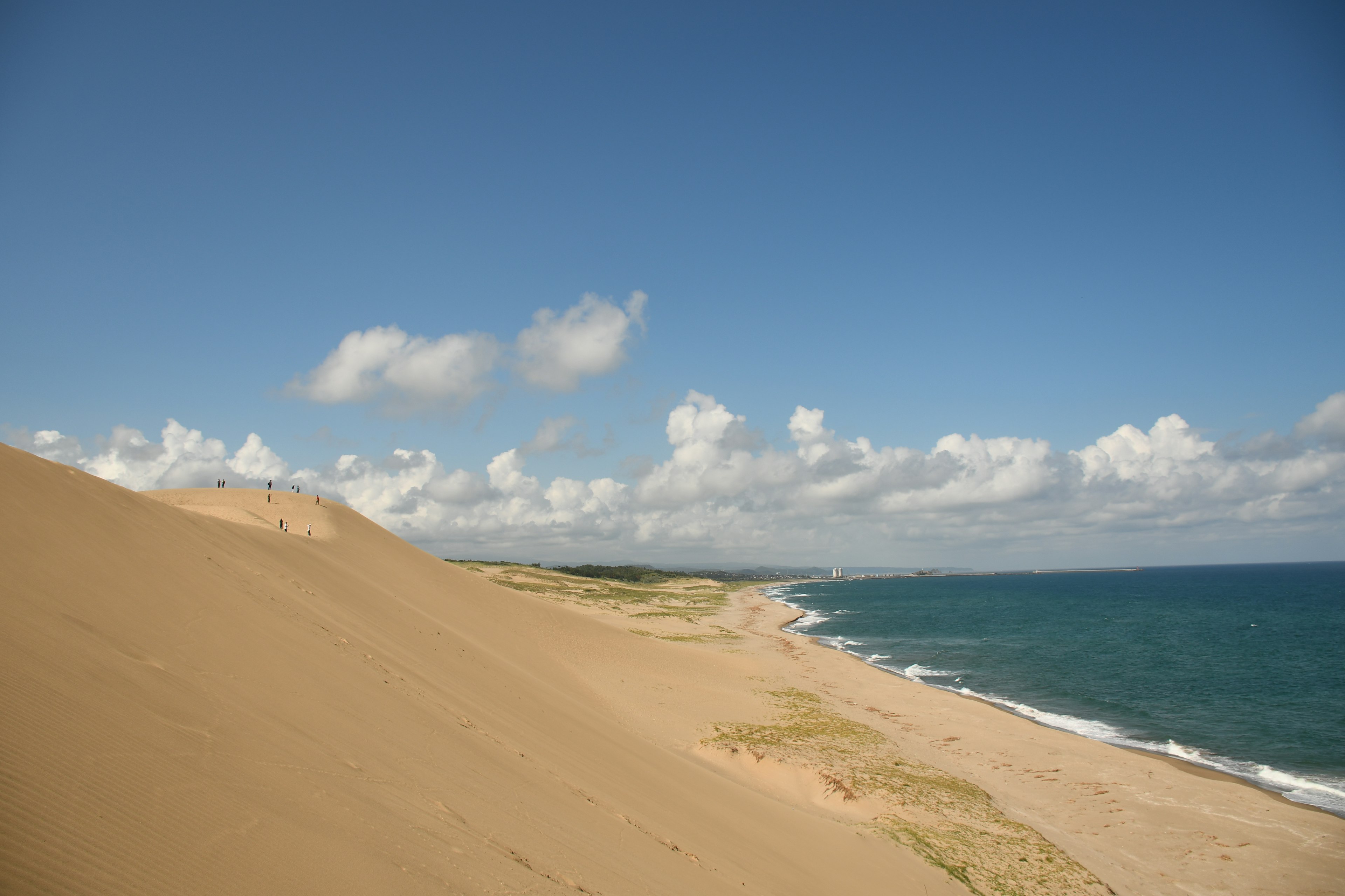 Dünenlandschaft mit Strand und Ozean unter blauem Himmel