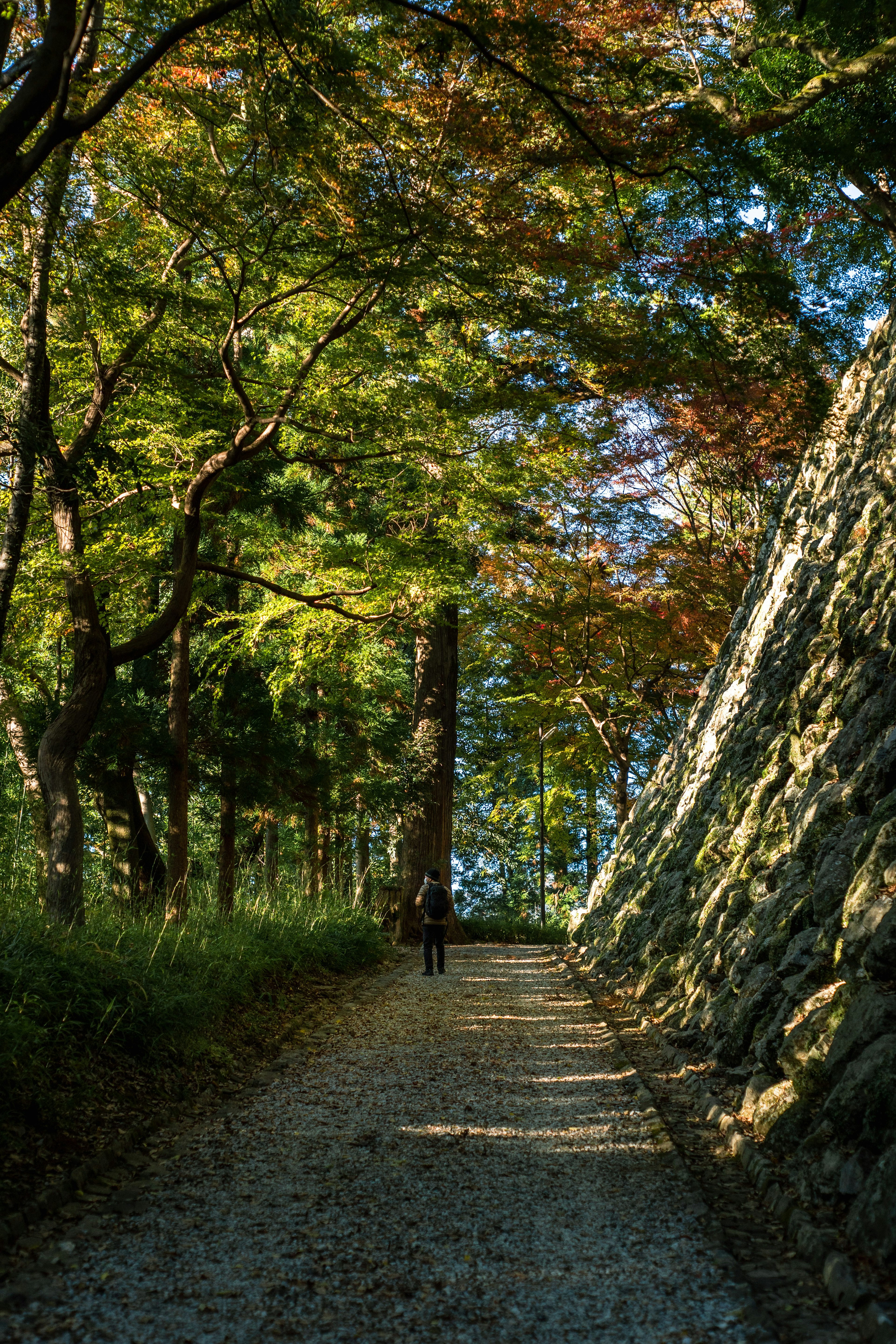 Une personne marchant sur un chemin de gravier entouré de feuilles vertes et rouges