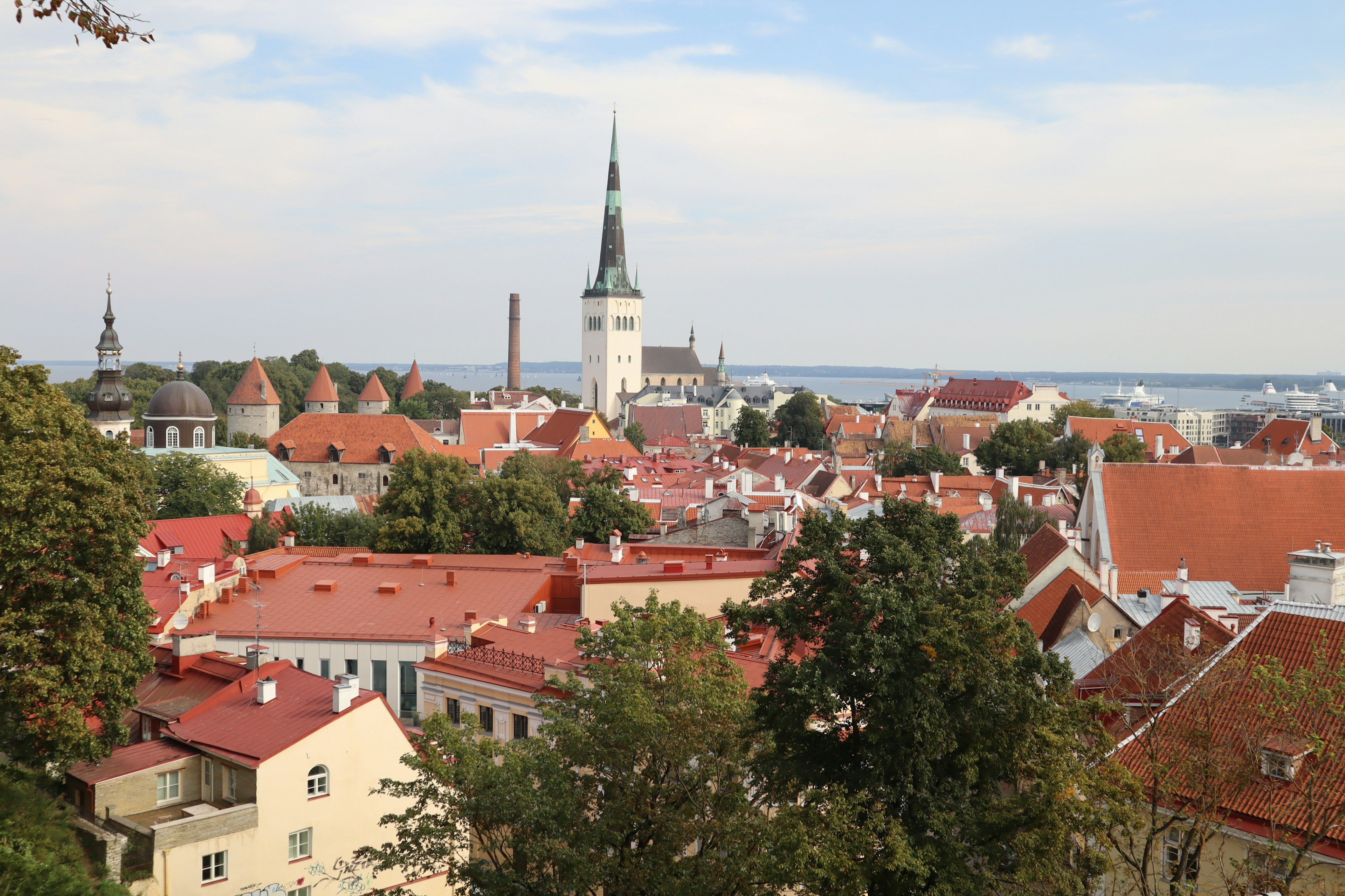 Vista panoramica della città vecchia di Tallinn con case a tetto rosso e torri